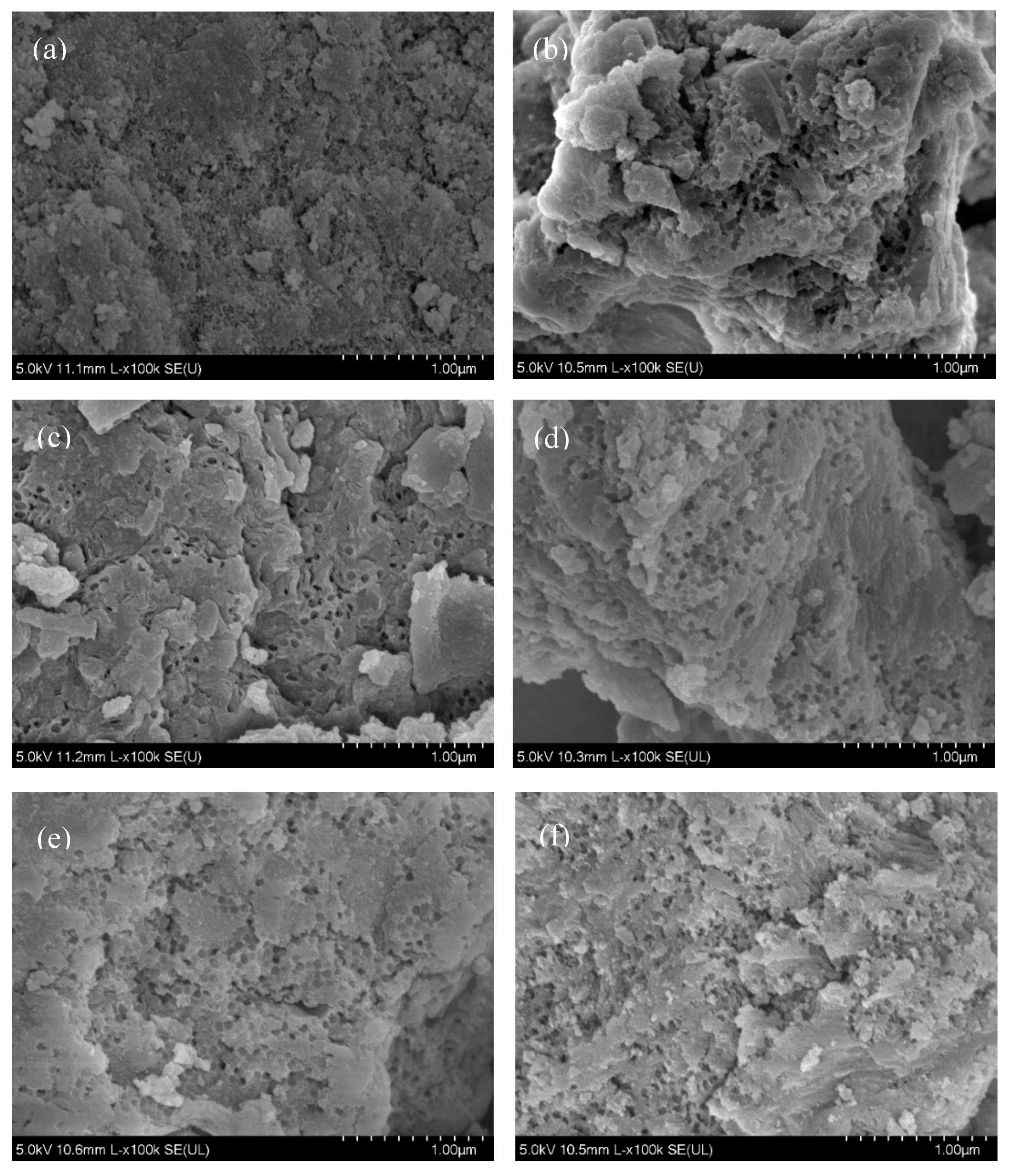 Catalysts Free Full Text Fabrication Of Ni Based Bimodal Porous Catalyst For Dry Reforming Of Methane Html