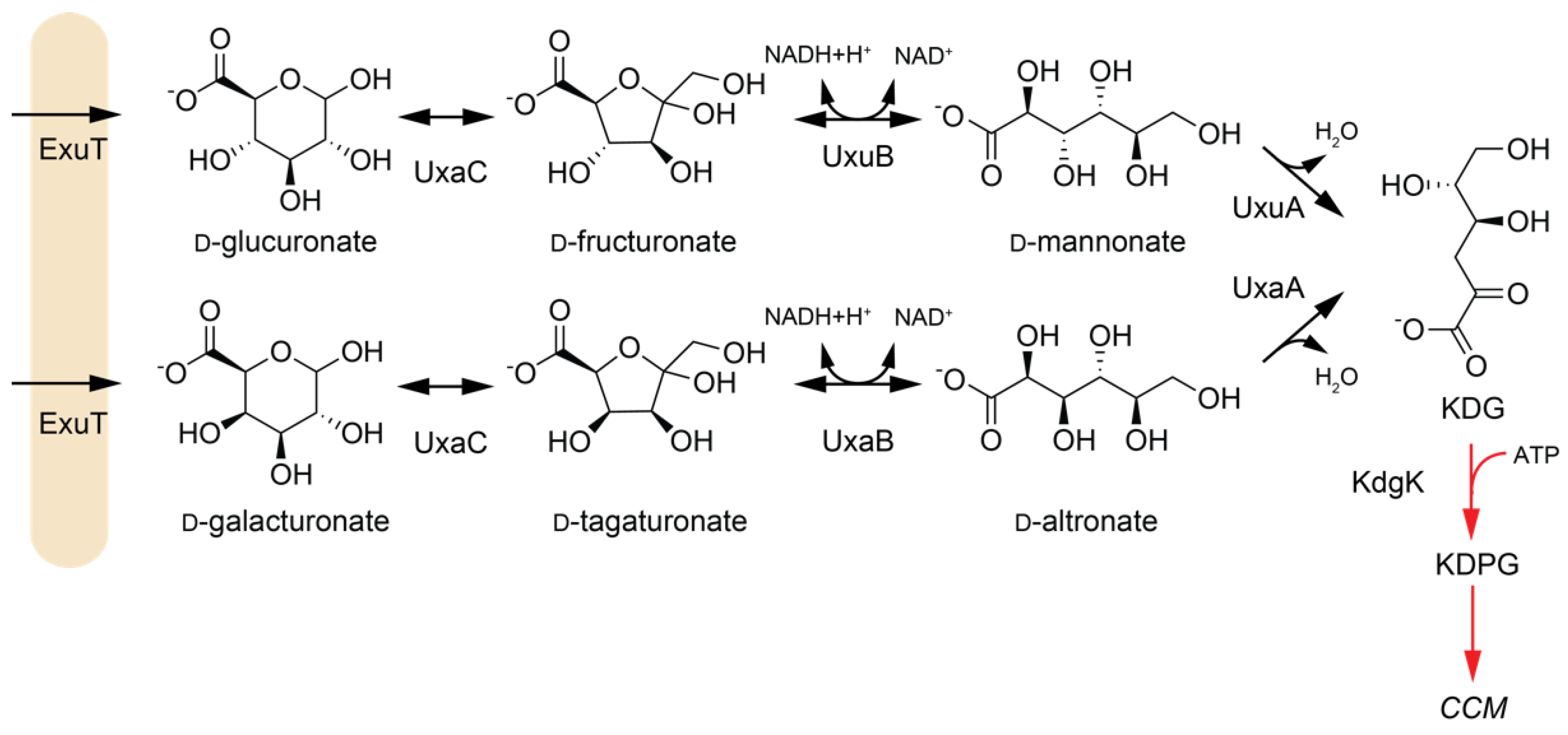 Catalysts 10 01231 g001 Catalysts 10 01231 g001