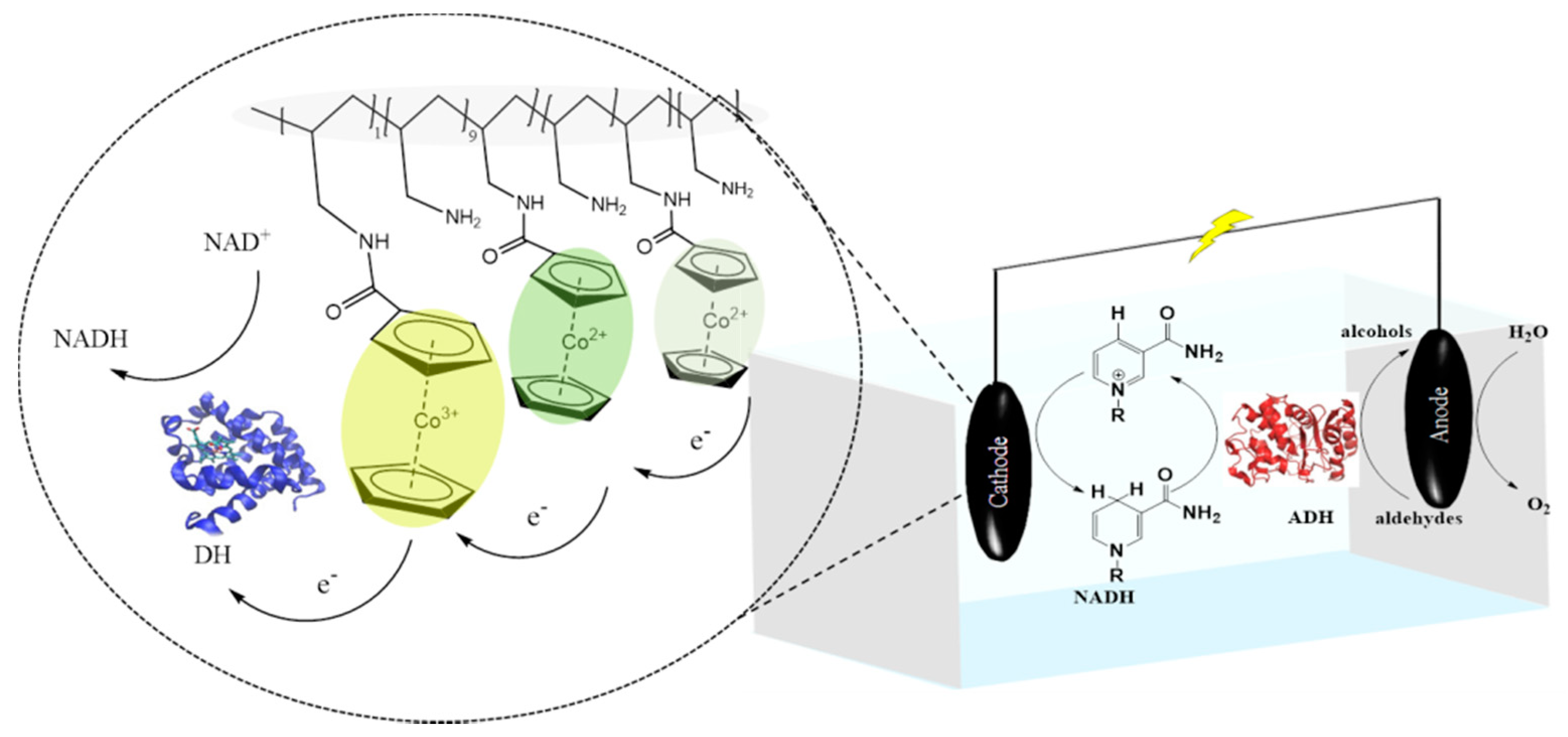 Catalysts 10 01232 g002