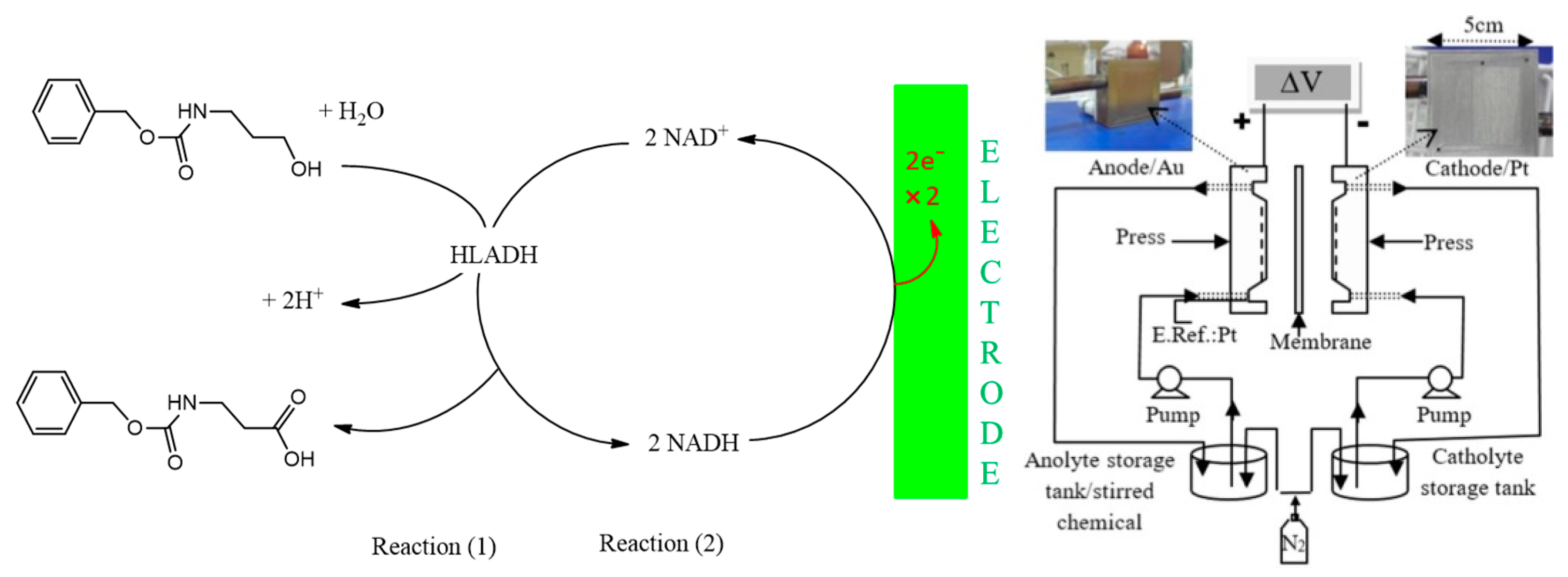 Catalysts 10 01232 g008