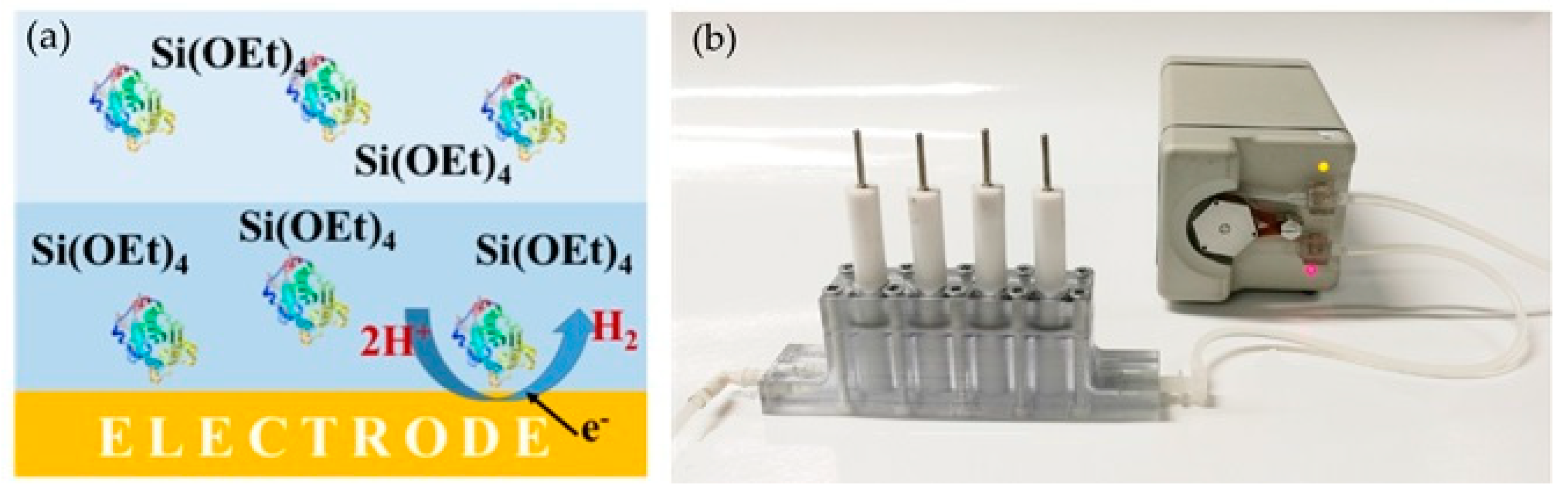 Catalysts 10 01232 g010