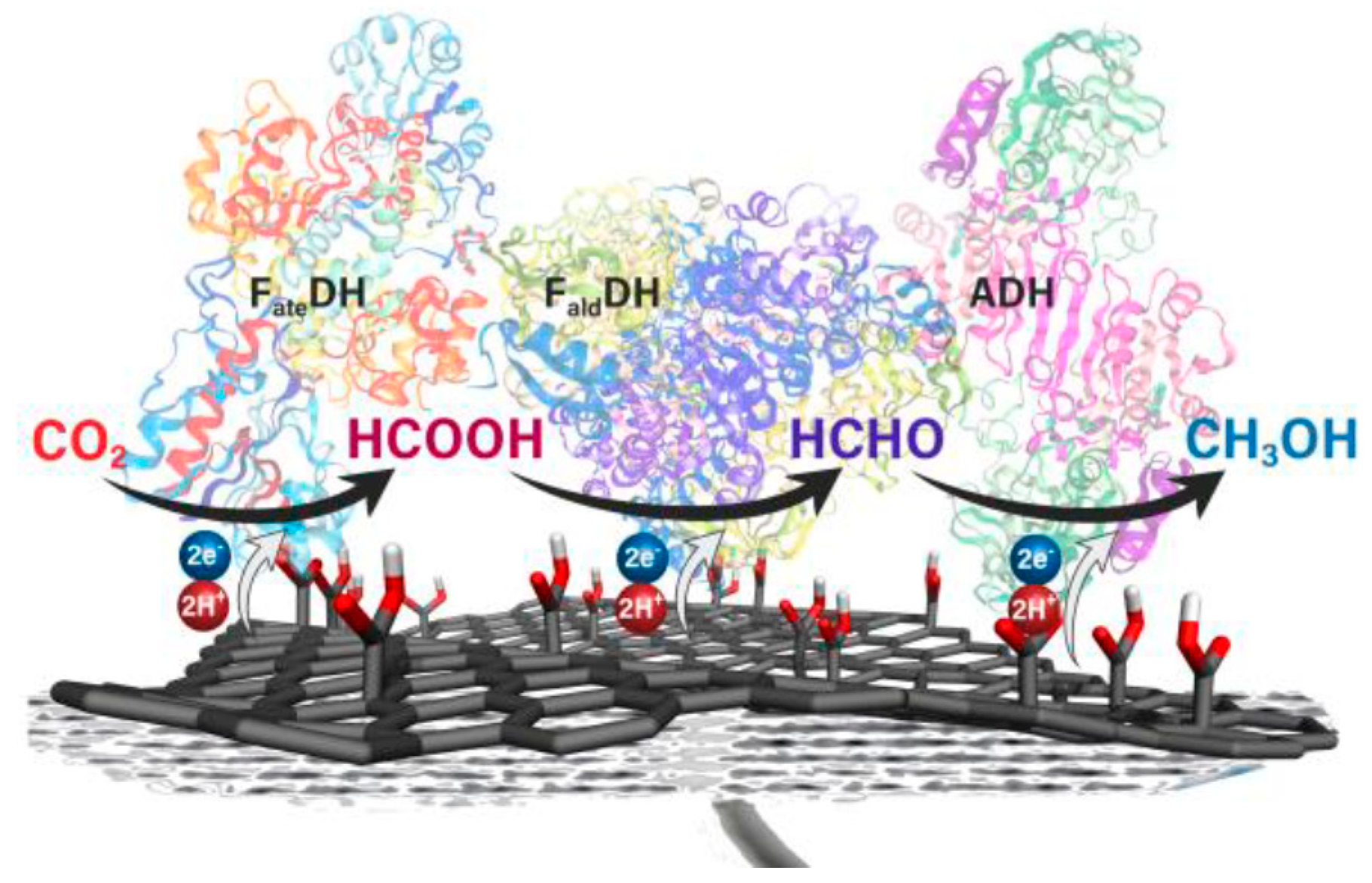 Catalysts 10 01232 g011