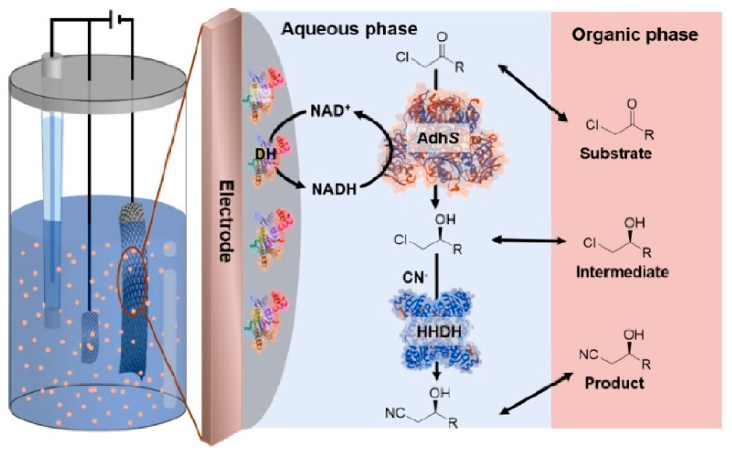 Catalysts 10 01232 g012