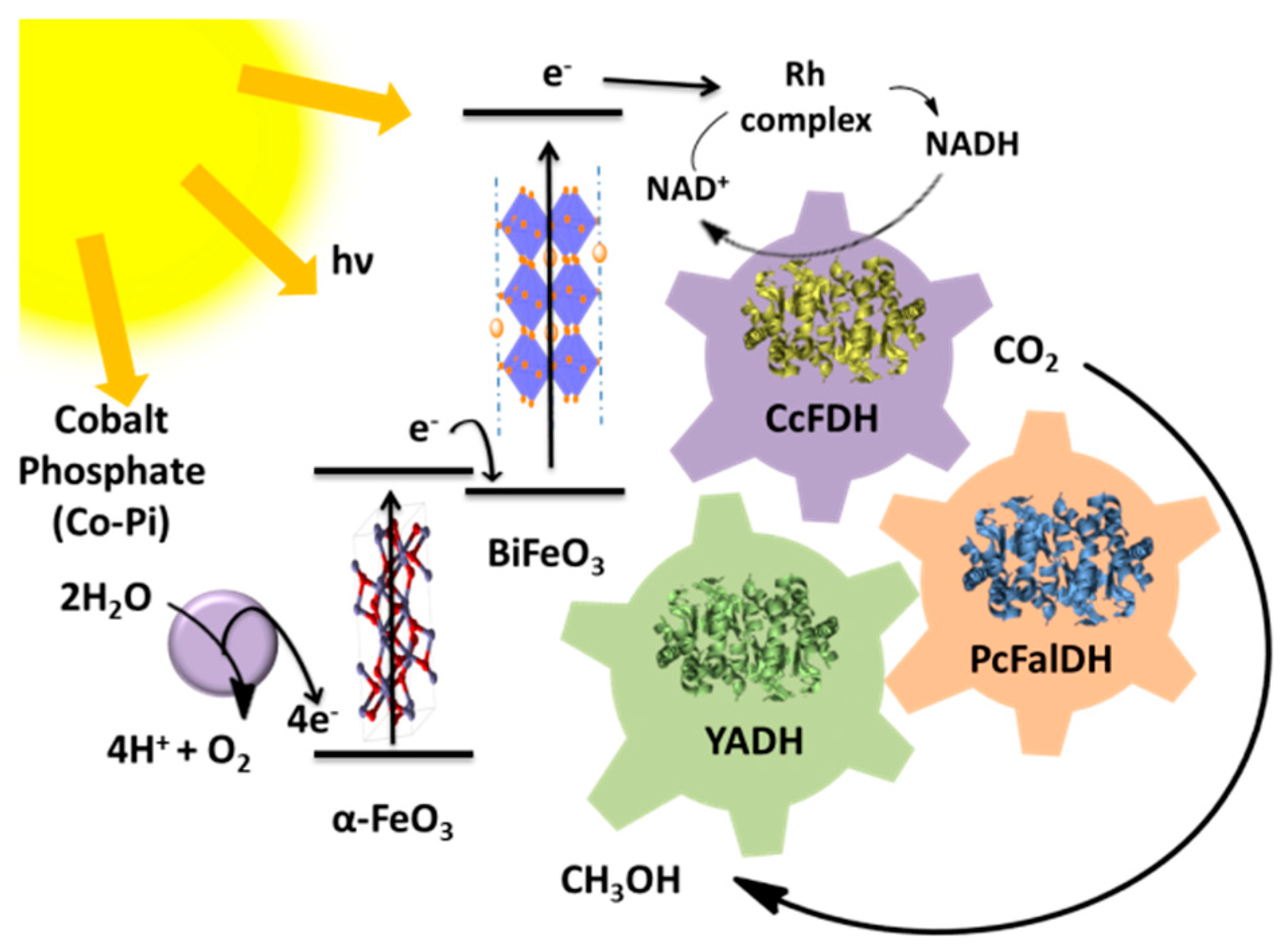 Catalysts 10 01232 g014