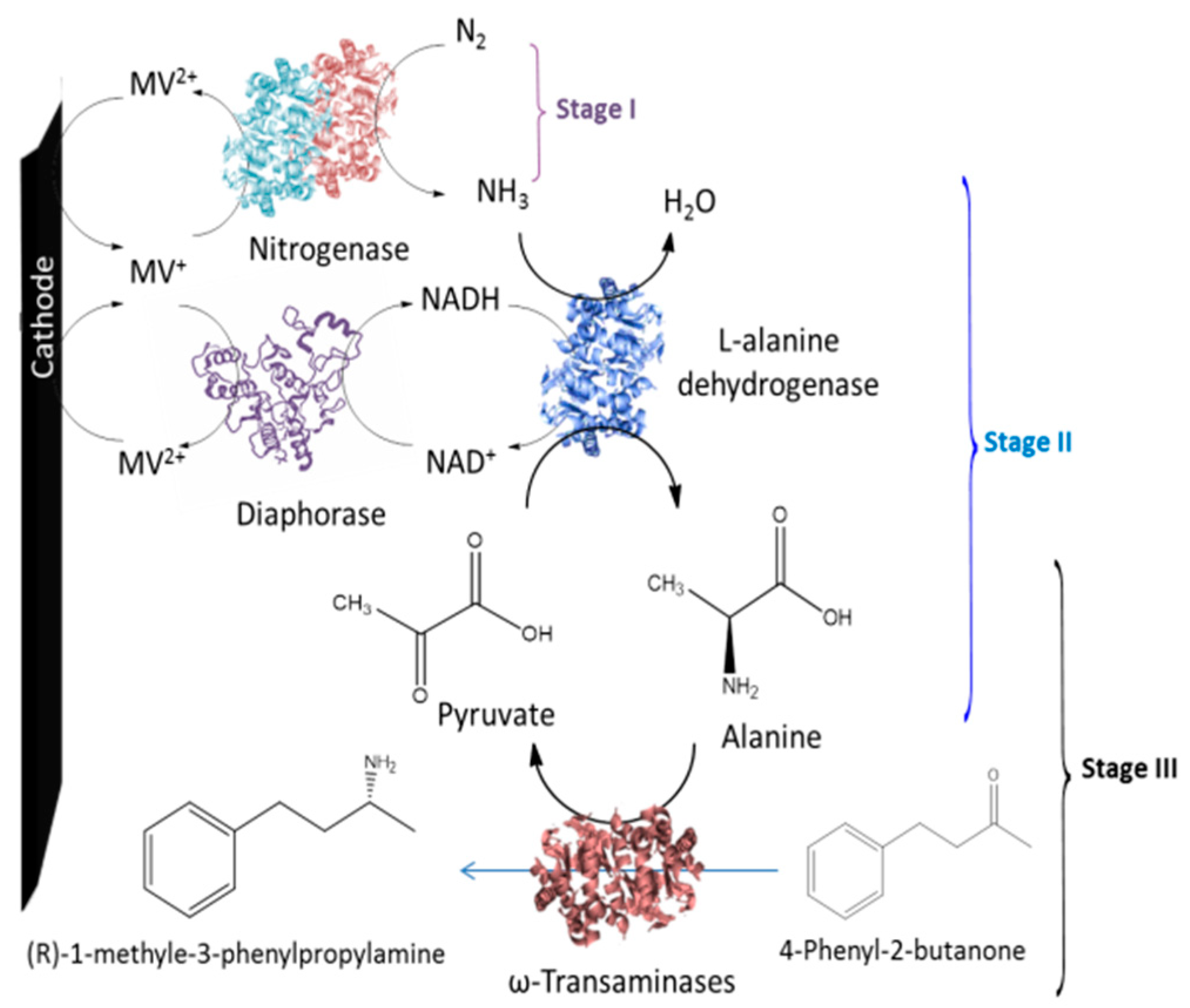 Catalysts 10 01232 g015