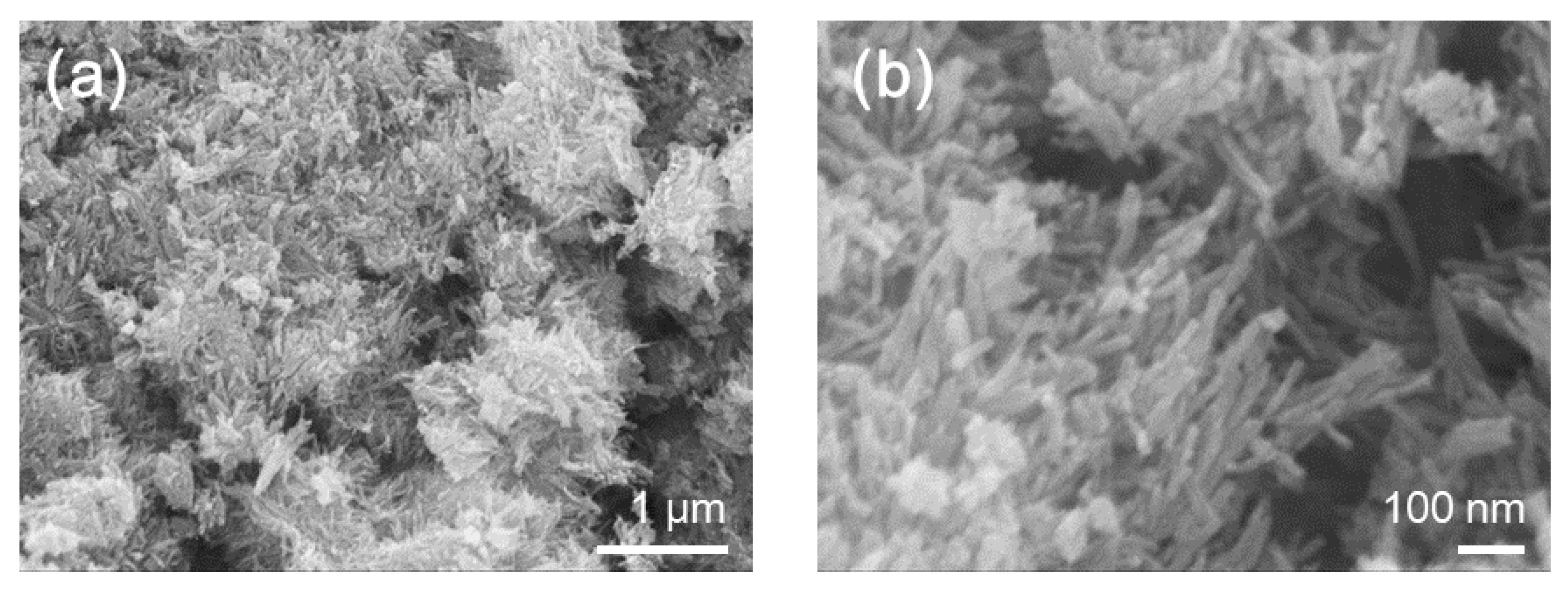 Catalysts 10 01238 g002