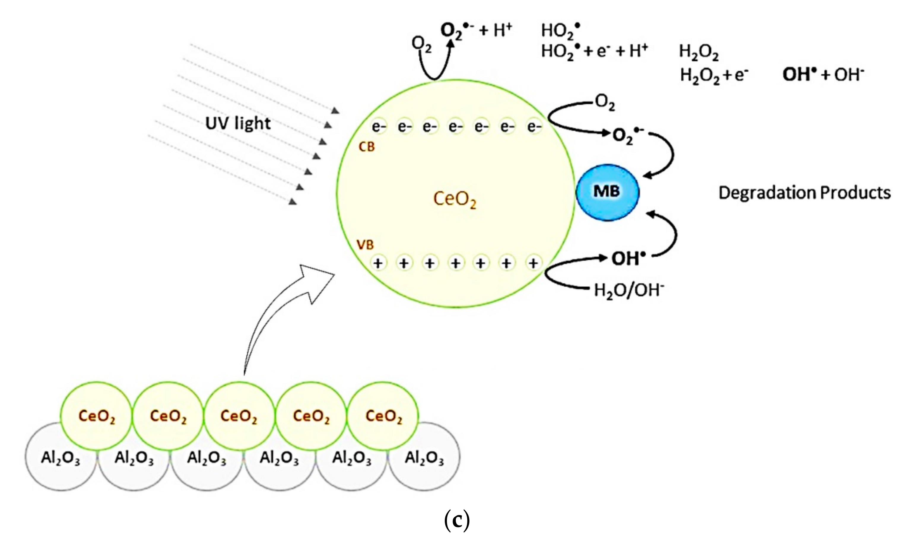 Catalysts 10 01260 g006b Catalysts 10 01260 g006b