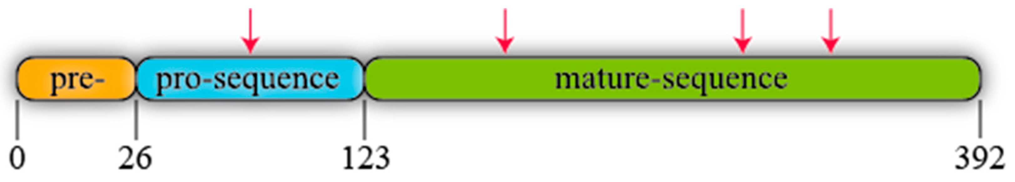 Catalysts 10 01277 g003