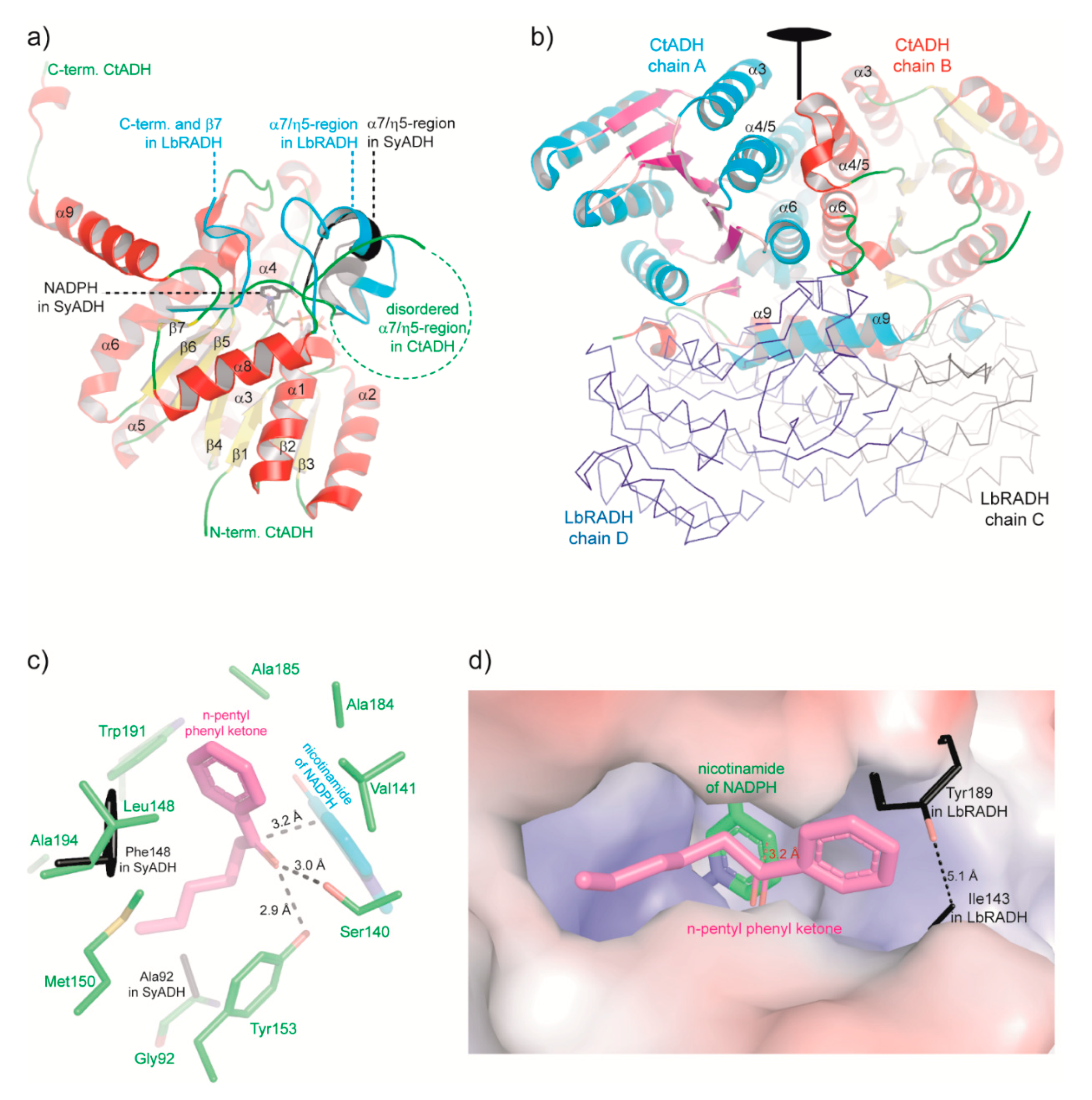 Catalysts 10 01281 g003 Catalysts 10 01281 g003