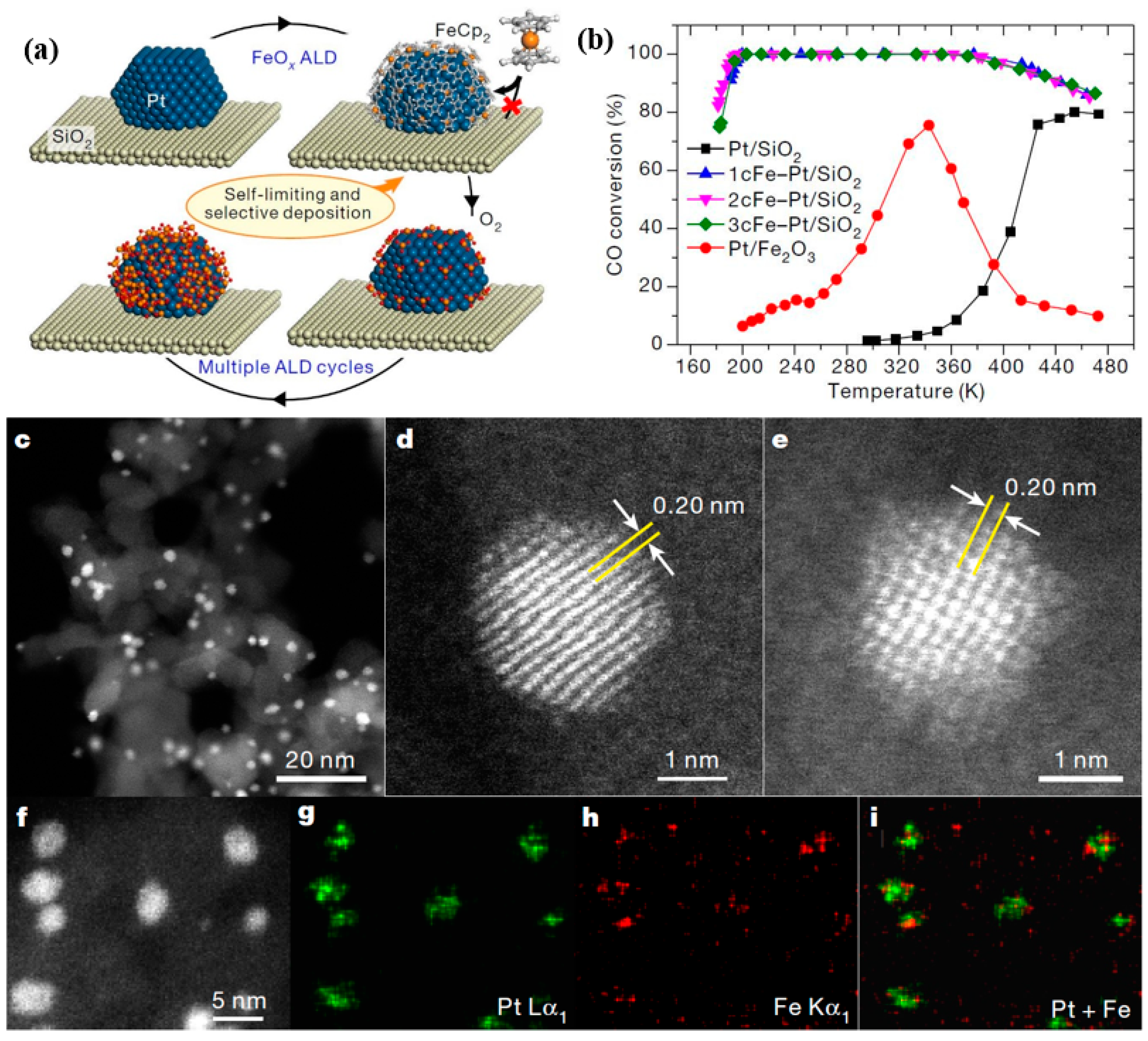 Catalysts 10 01298 g008