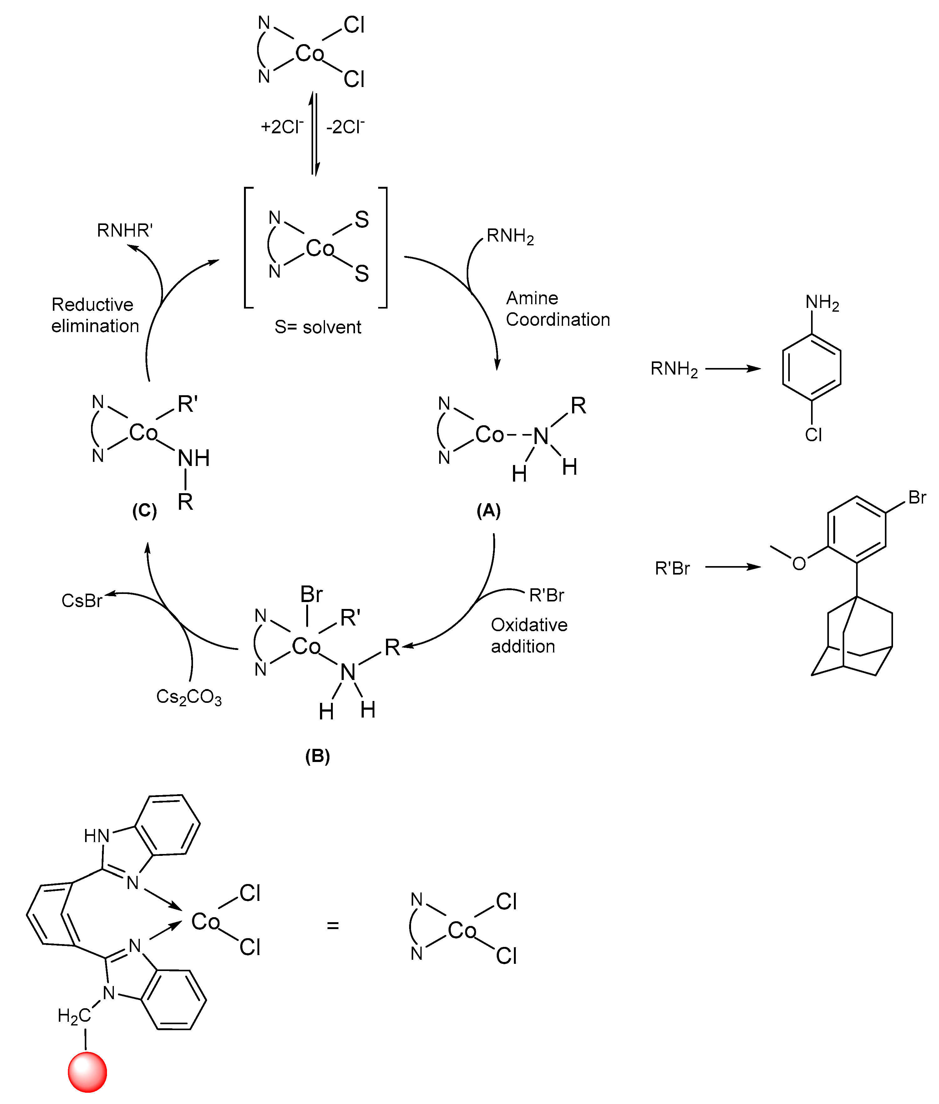 Catalysts 10 01315 g003 Catalysts 10 01315 g003