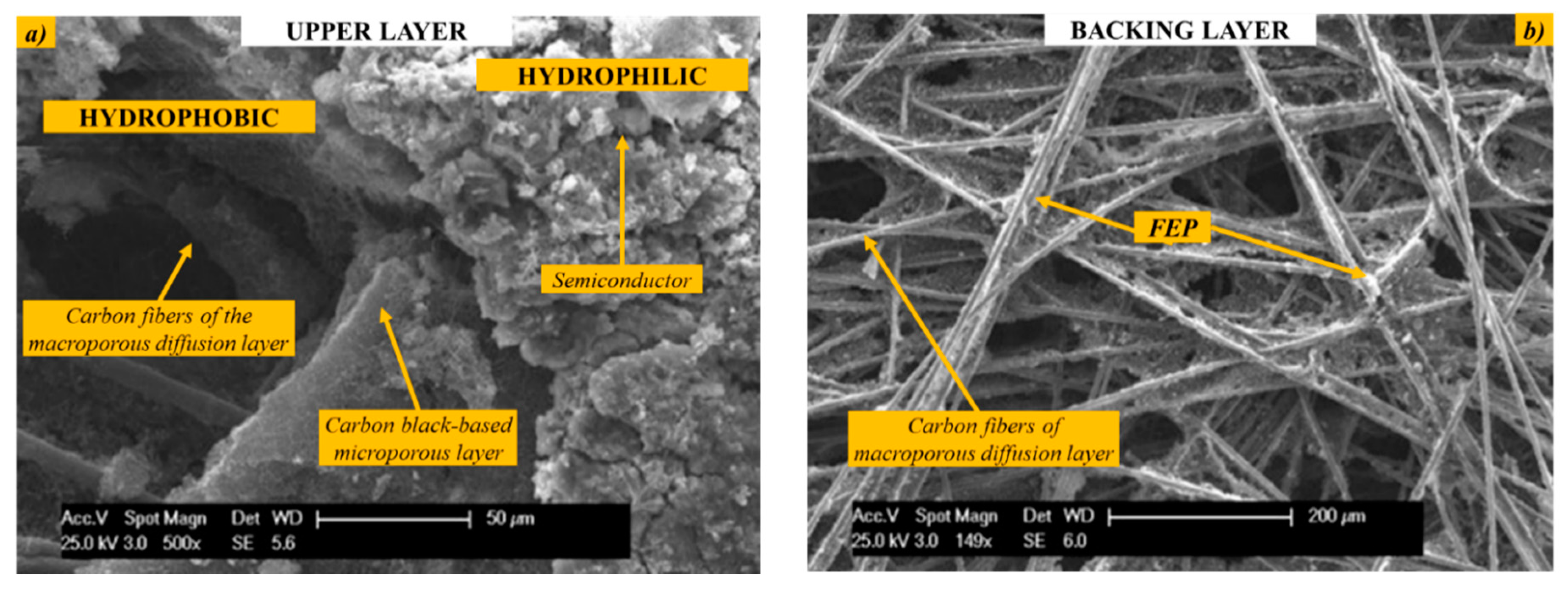 Catalysts 10 01319 g005 Catalysts 10 01319 g005