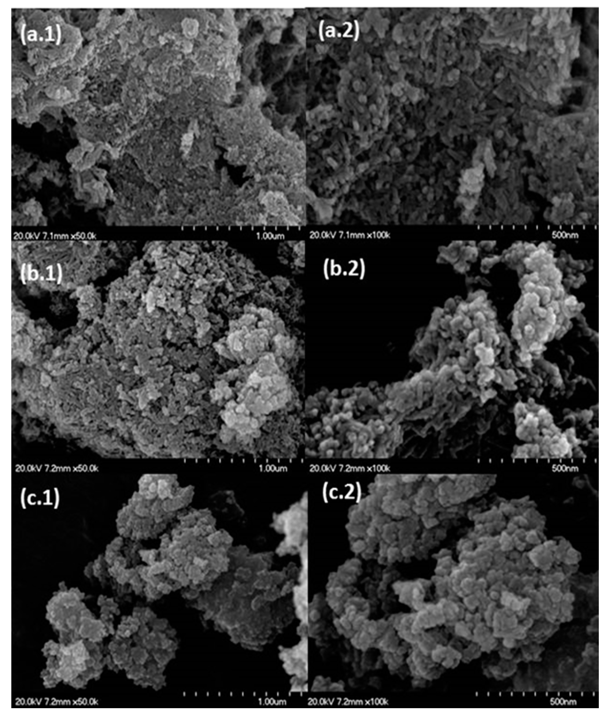 Catalysts 10 01346 g002