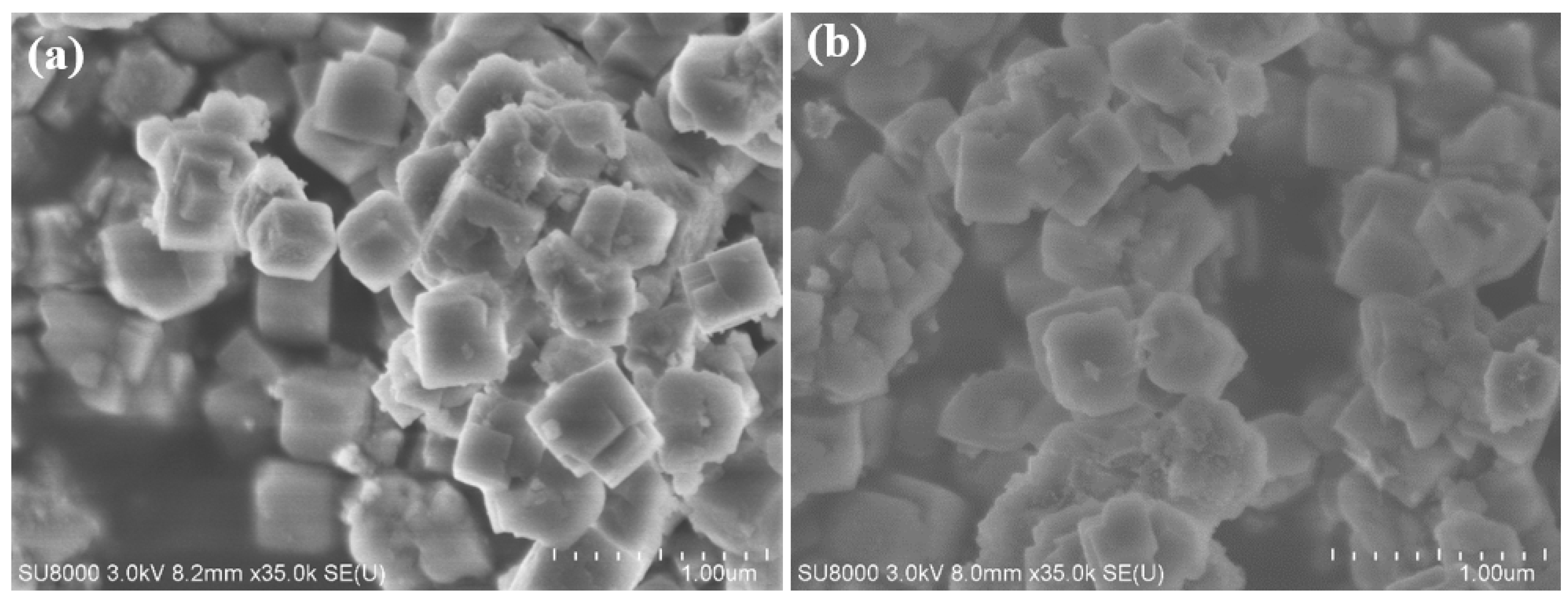 Catalysts 10 01375 g002
