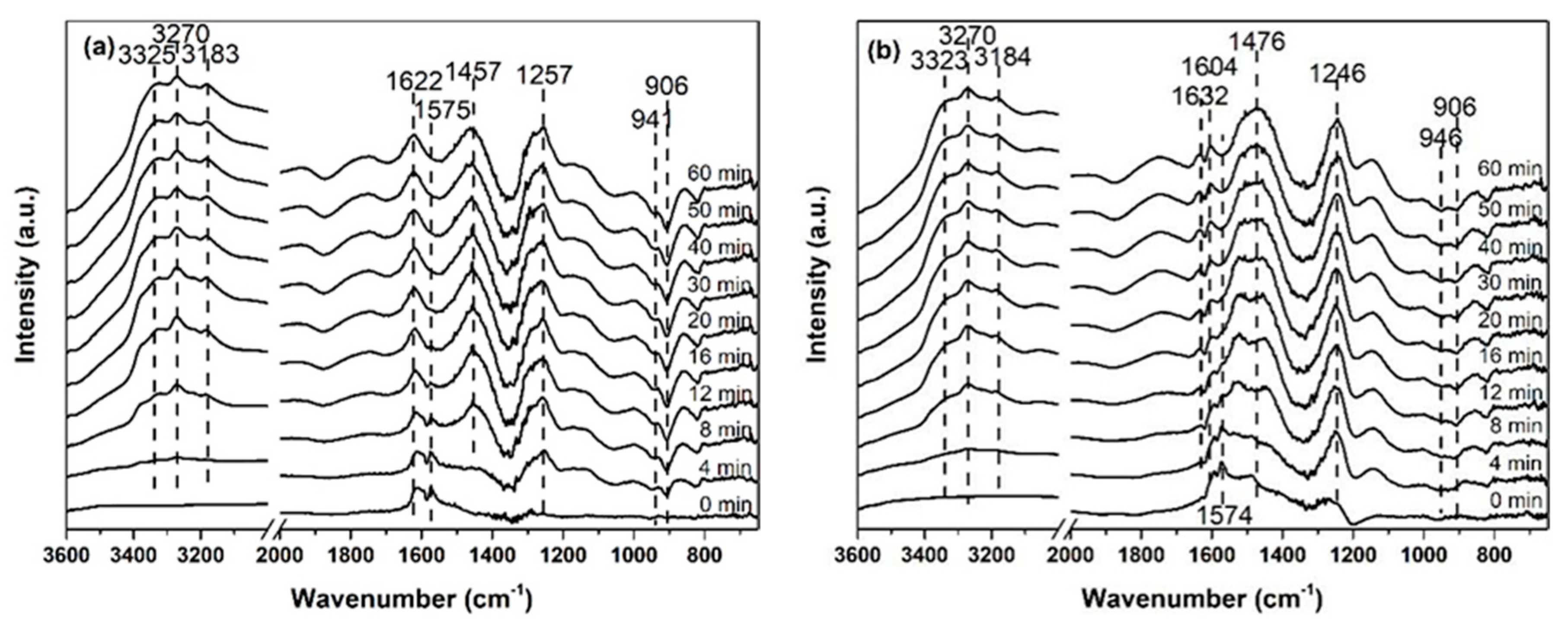 Catalysts 10 01375 g007