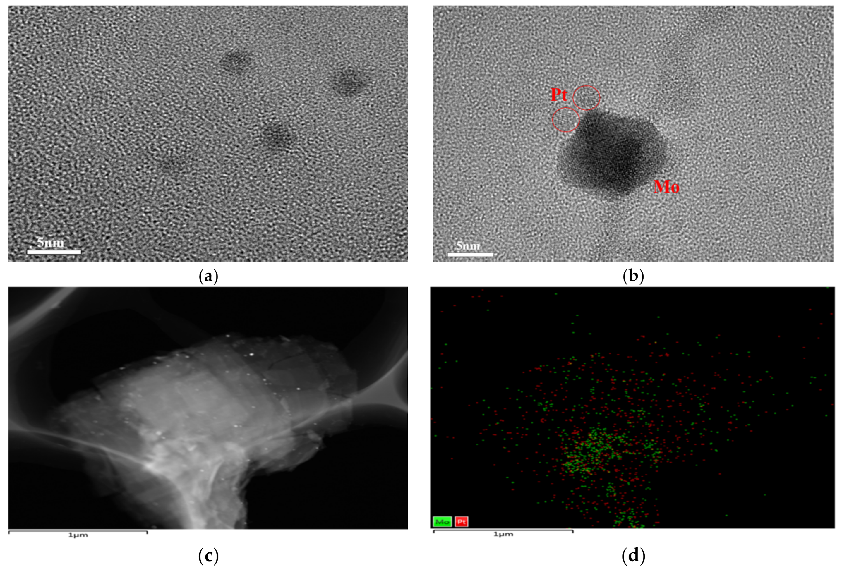 Catalysts 10 01377 g002