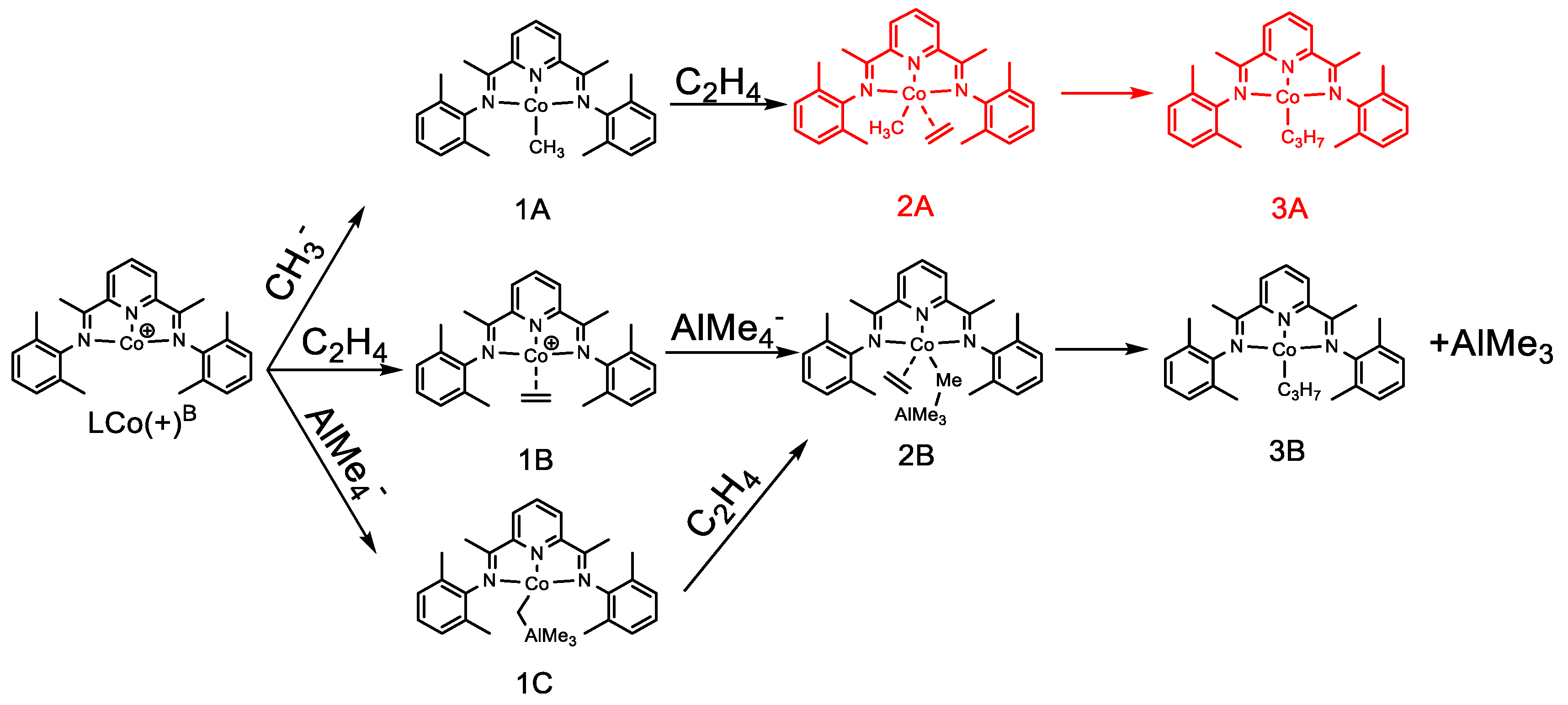 Catalysts 10 01396 sch005 Catalysts 10 01396 sch005