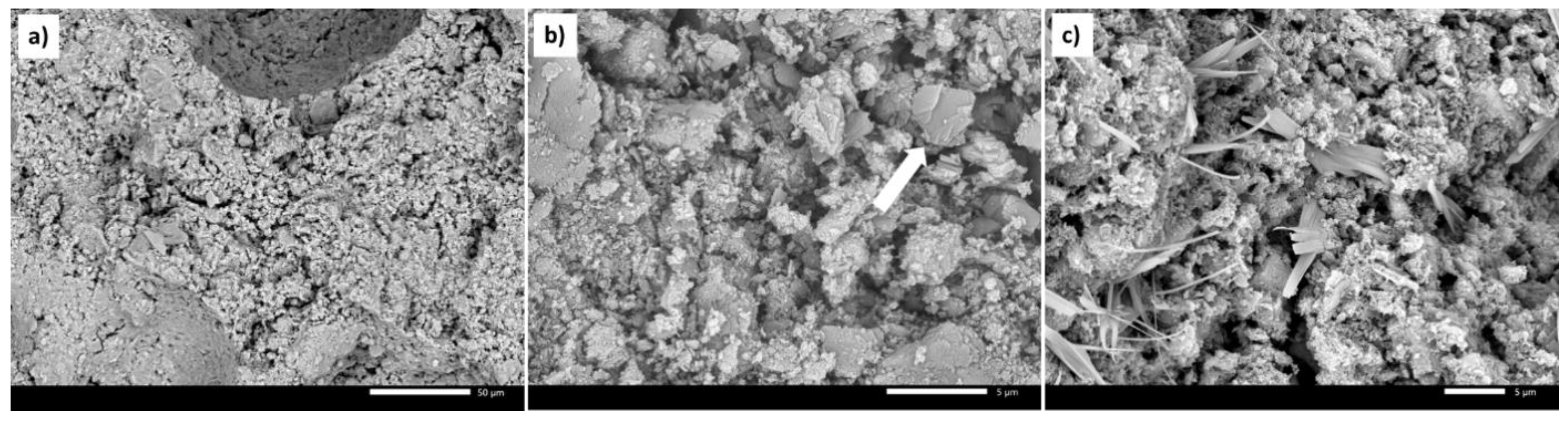 Catalysts 10 01398 g001 Catalysts 10 01398 g001