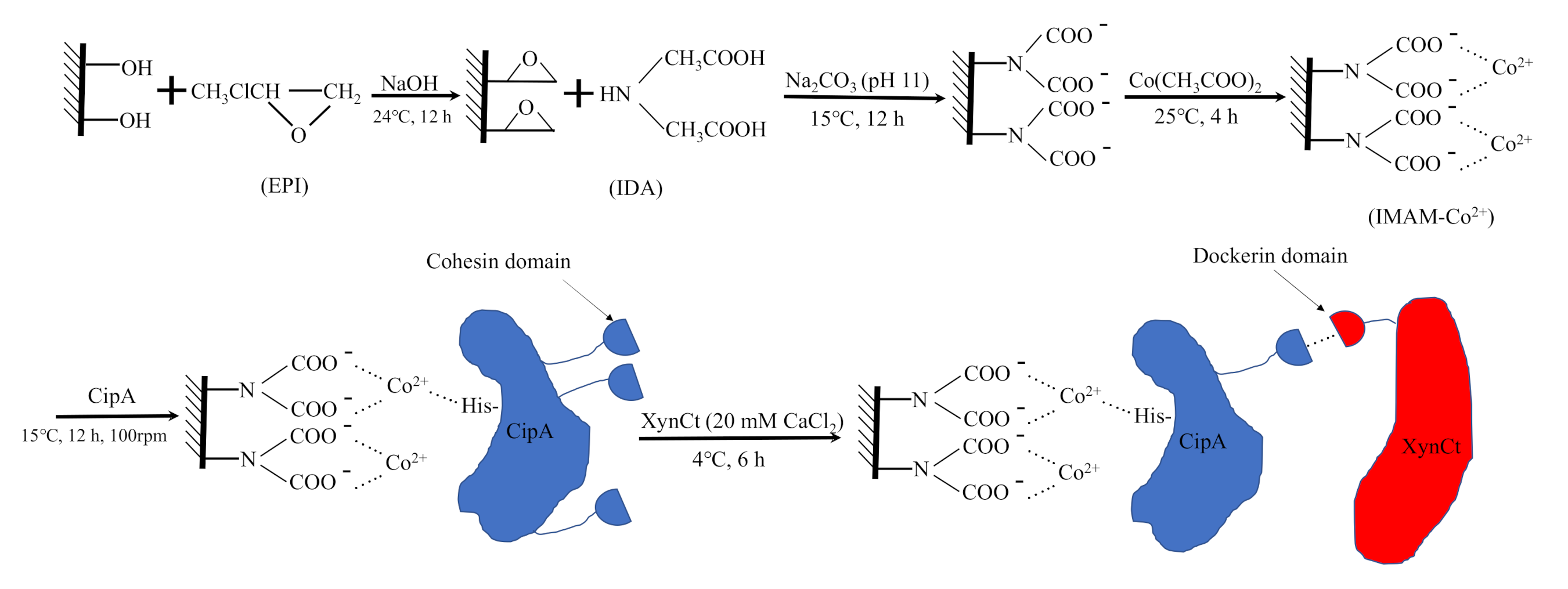 Catalysts 10 01408 g001