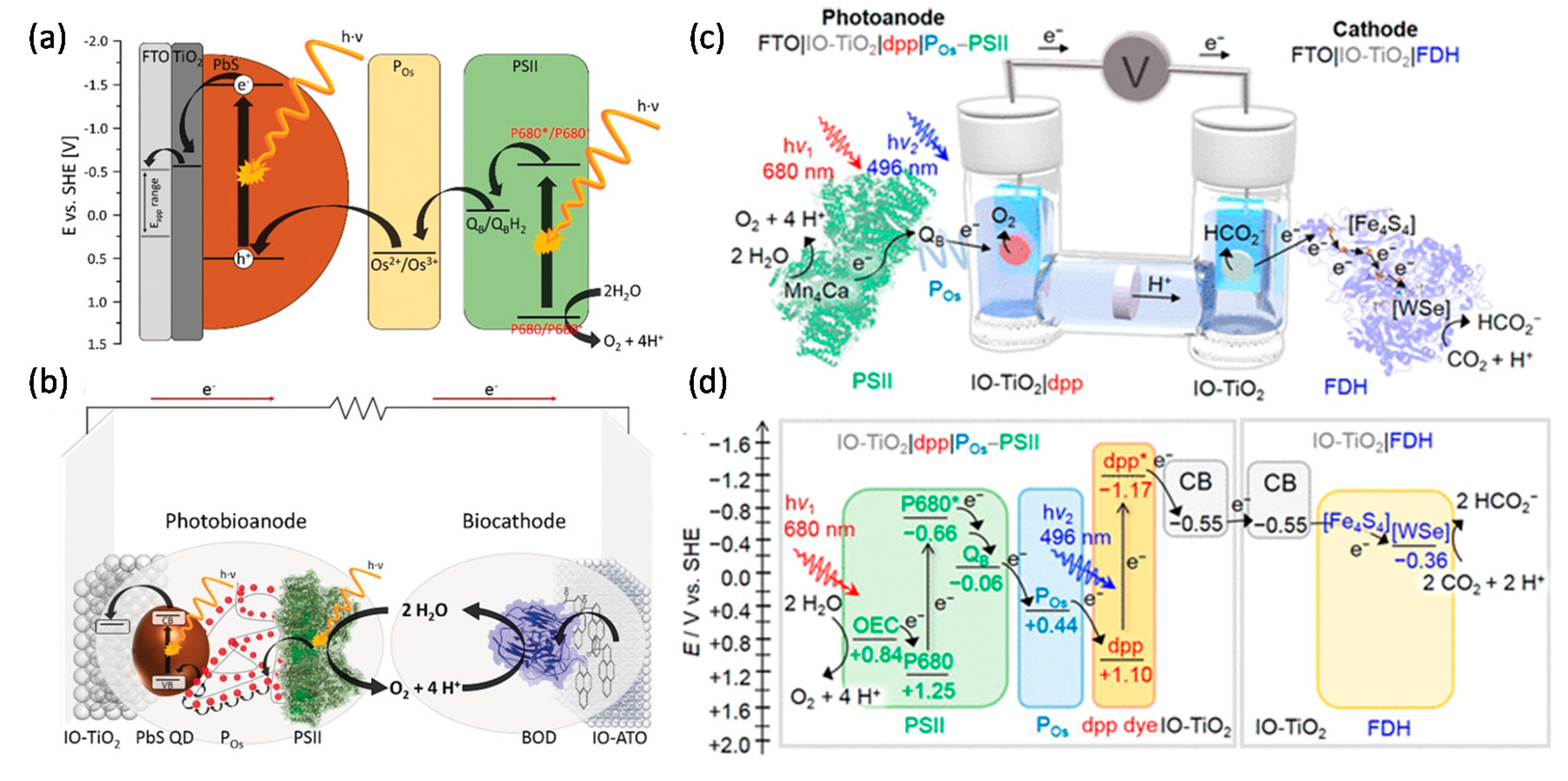 Catalysts 10 01427 g004