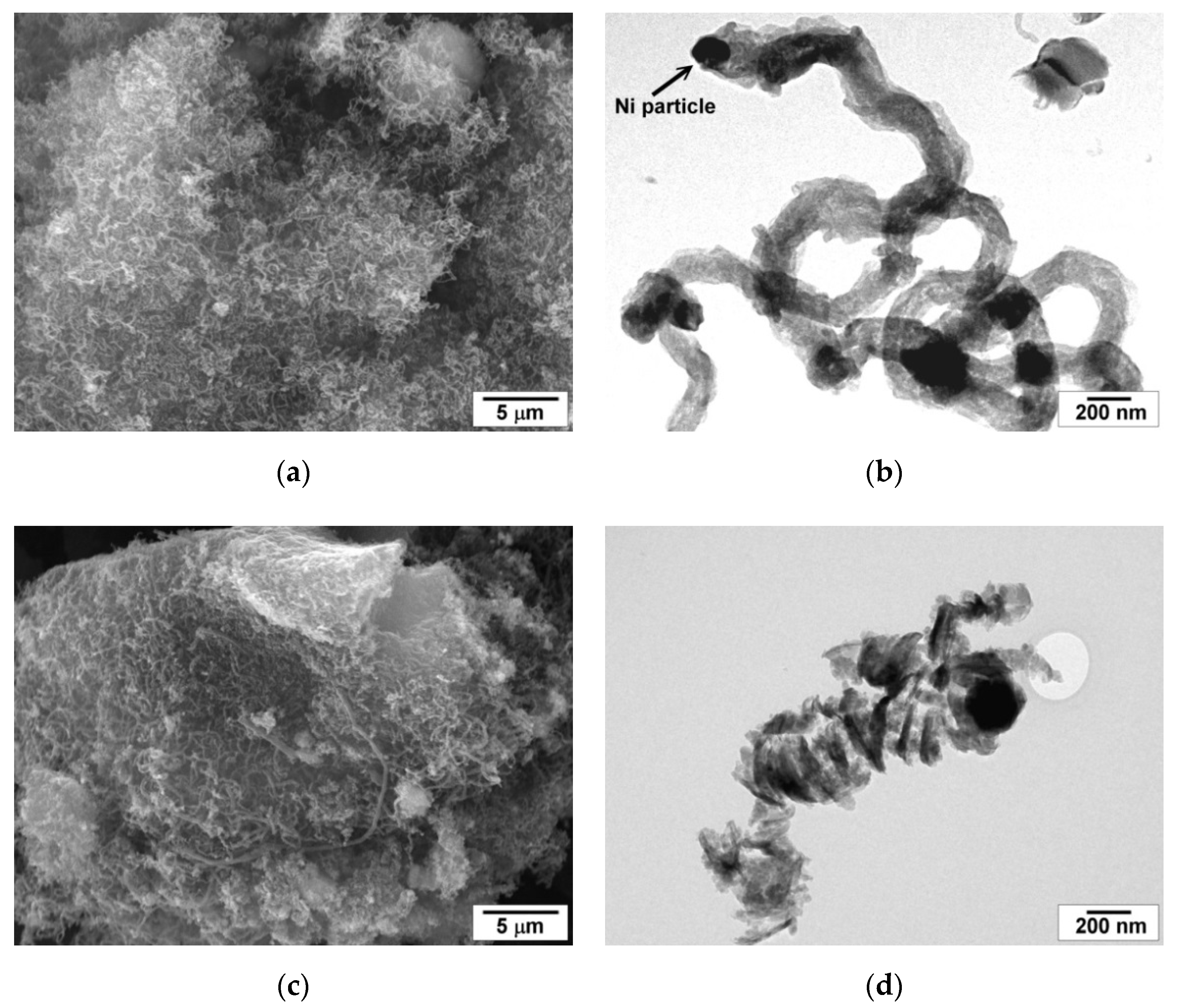 Catalysts 10 01446 g008 Catalysts 10 01446 g008