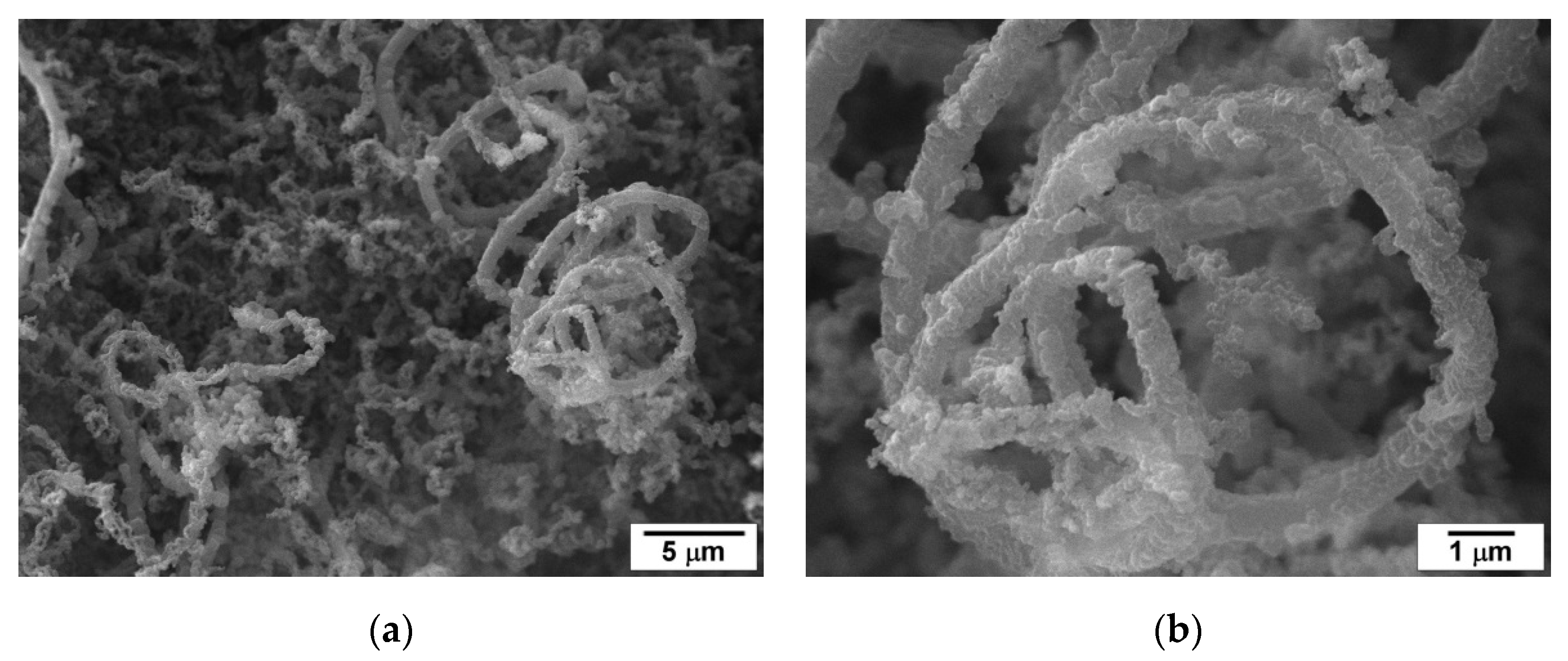 Catalysts 10 01446 g009 Catalysts 10 01446 g009