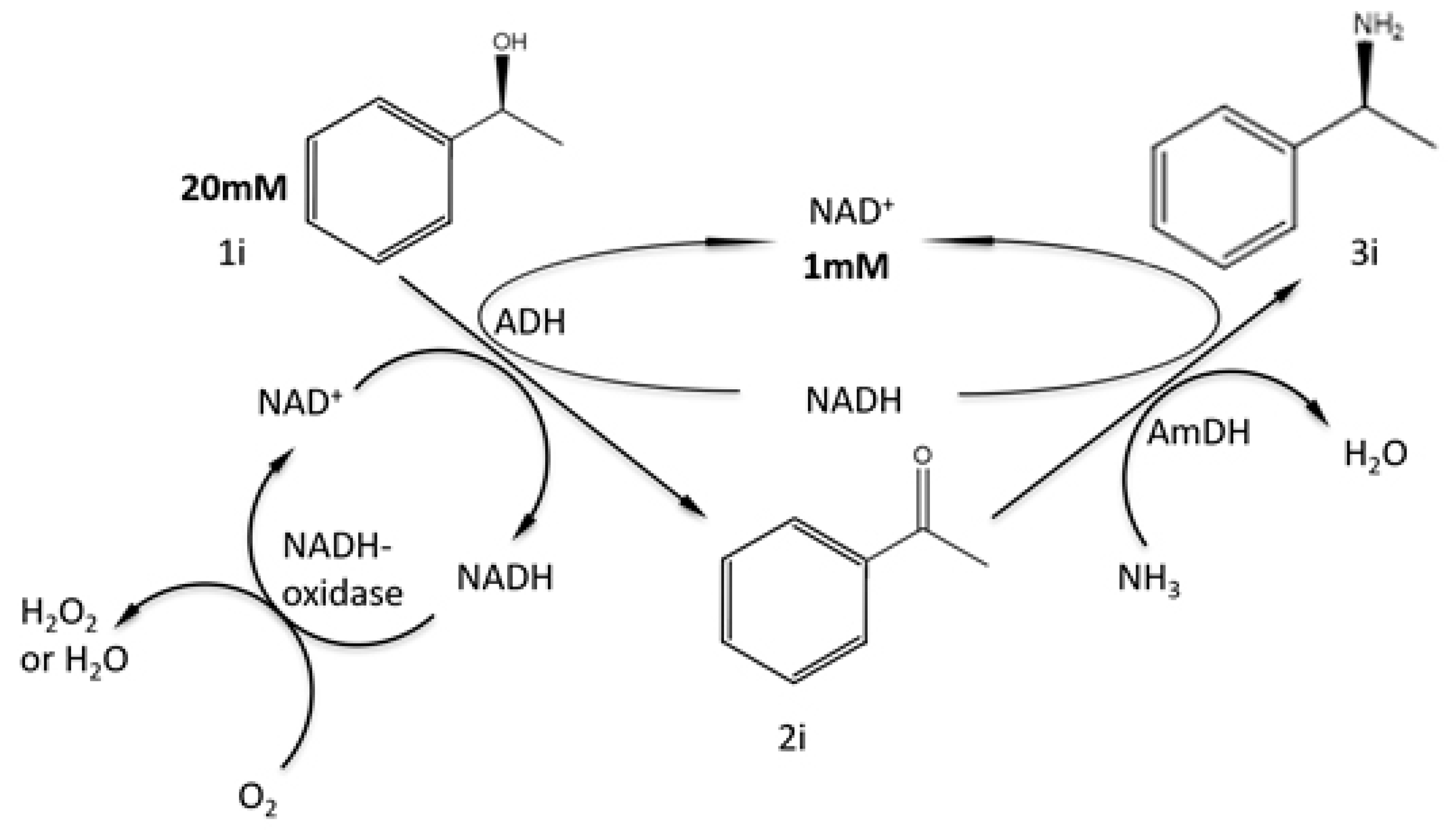 Catalysts Free Full Text Economy Assessment For The Chiral Amine