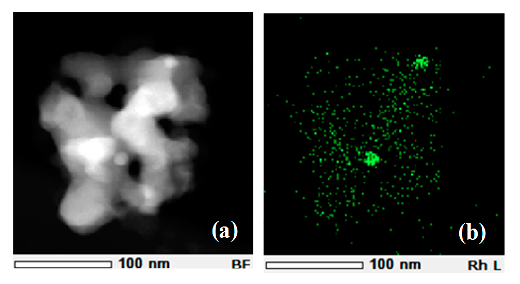 Catalysts 11 00019 g001