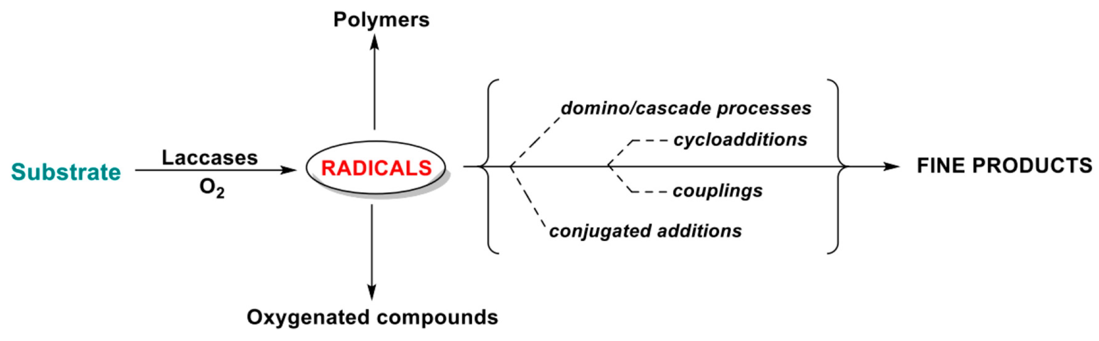 Catalysts 11 00026 sch010 Catalysts 11 00026 sch010