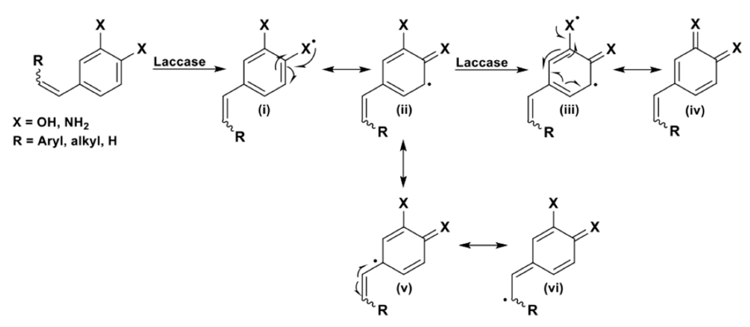 Catalysts 11 00026 sch011 Catalysts 11 00026 sch011