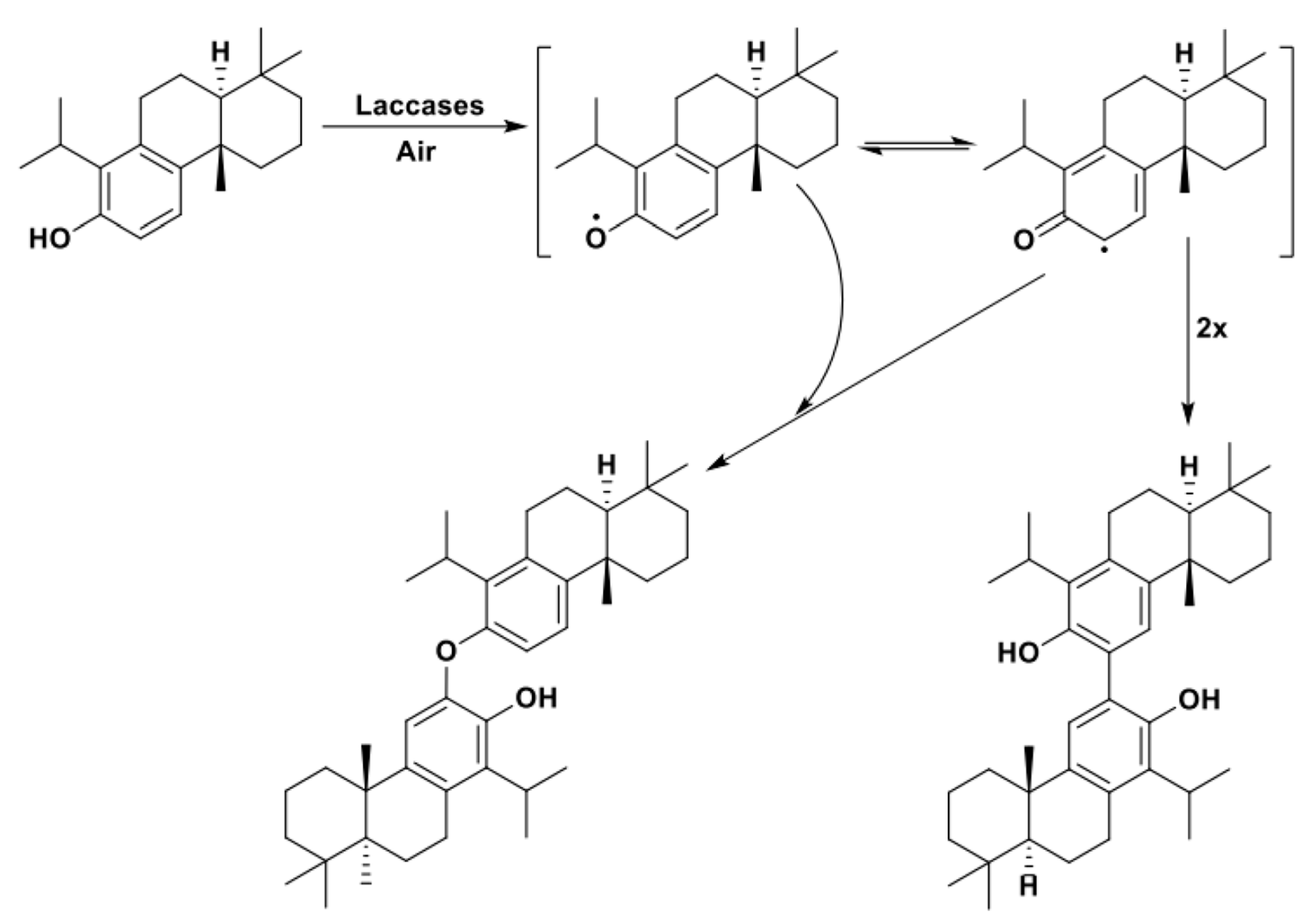 Catalysts 11 00026 sch014 Catalysts 11 00026 sch014