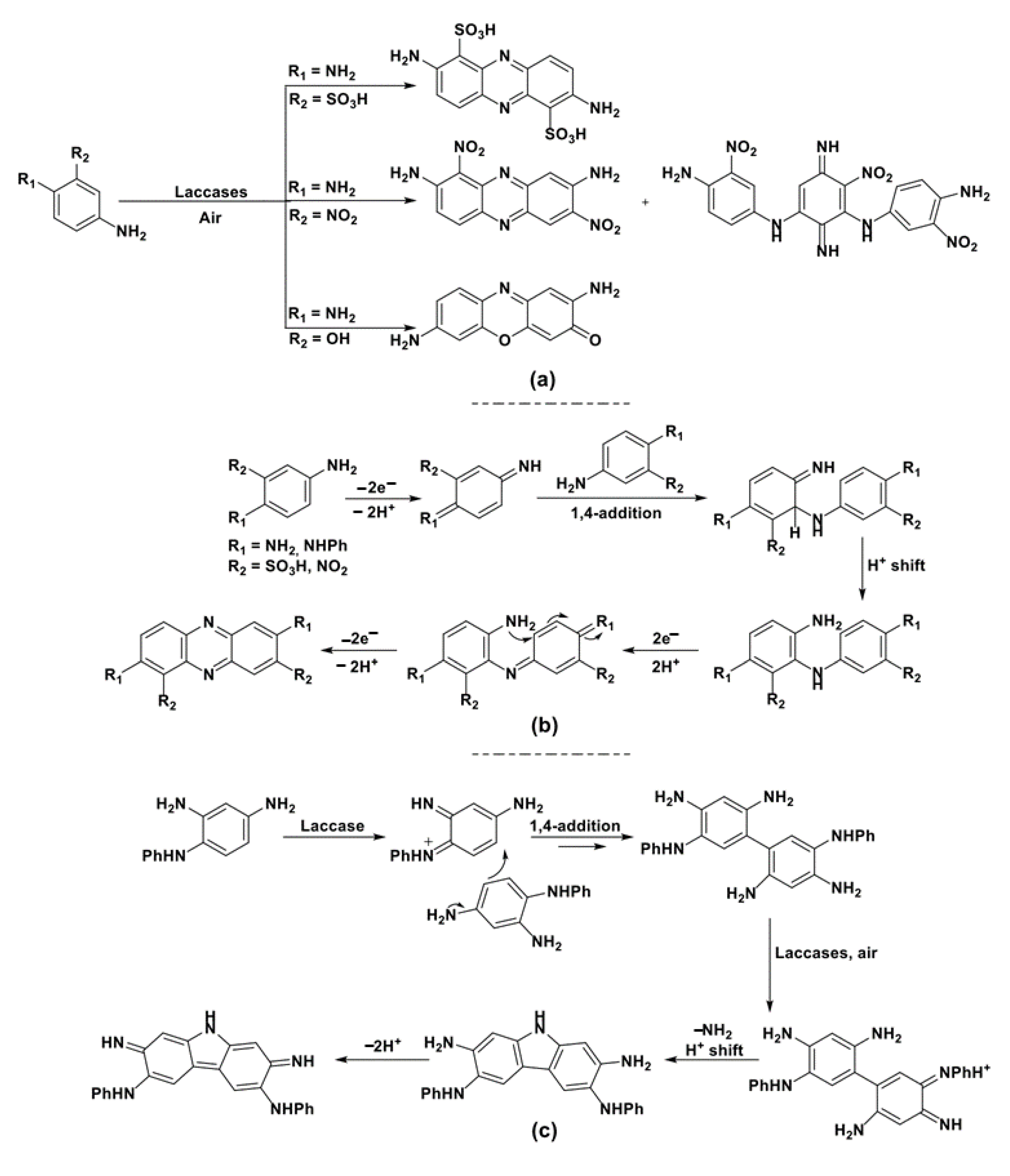 Catalysts 11 00026 sch025 Catalysts 11 00026 sch025