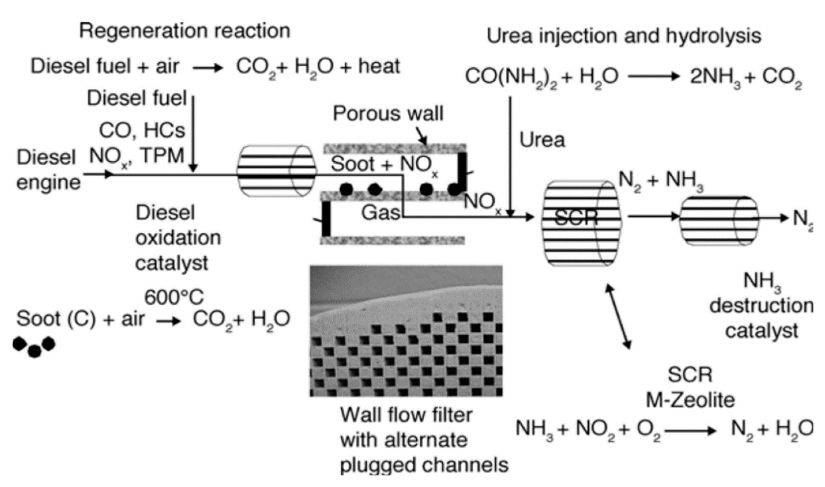 Catalysts 11 00029 g003