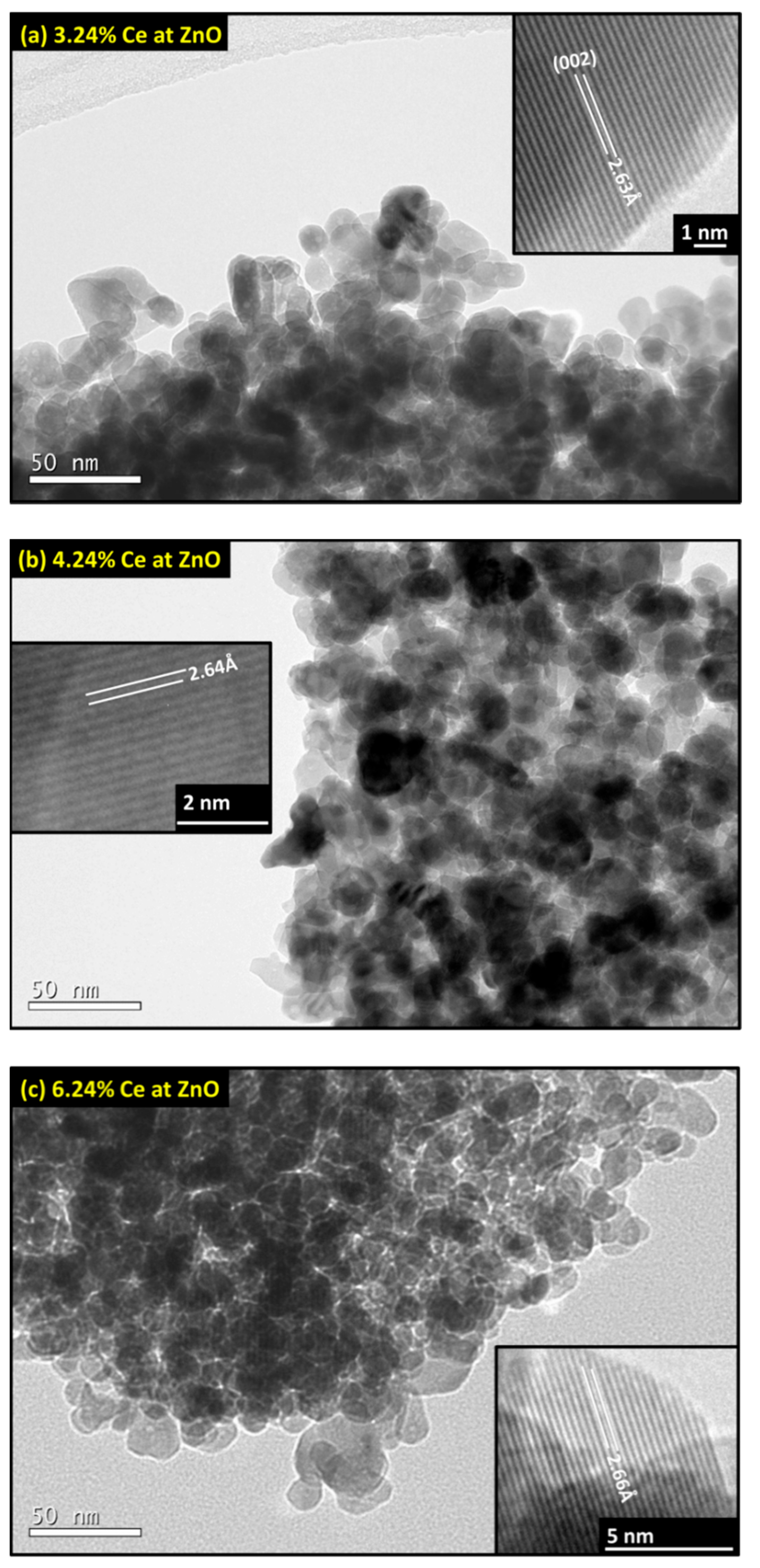 Catalysts 11 00071 g007 Catalysts 11 00071 g007