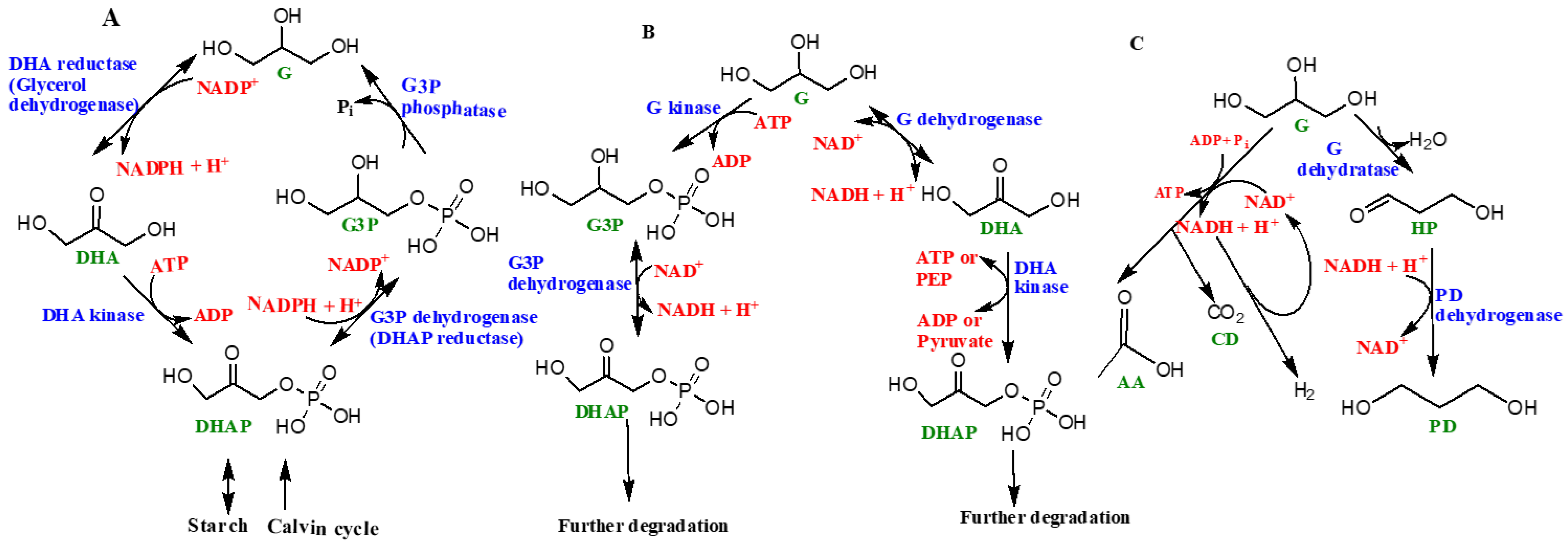 Catalysts 11 00086 g005