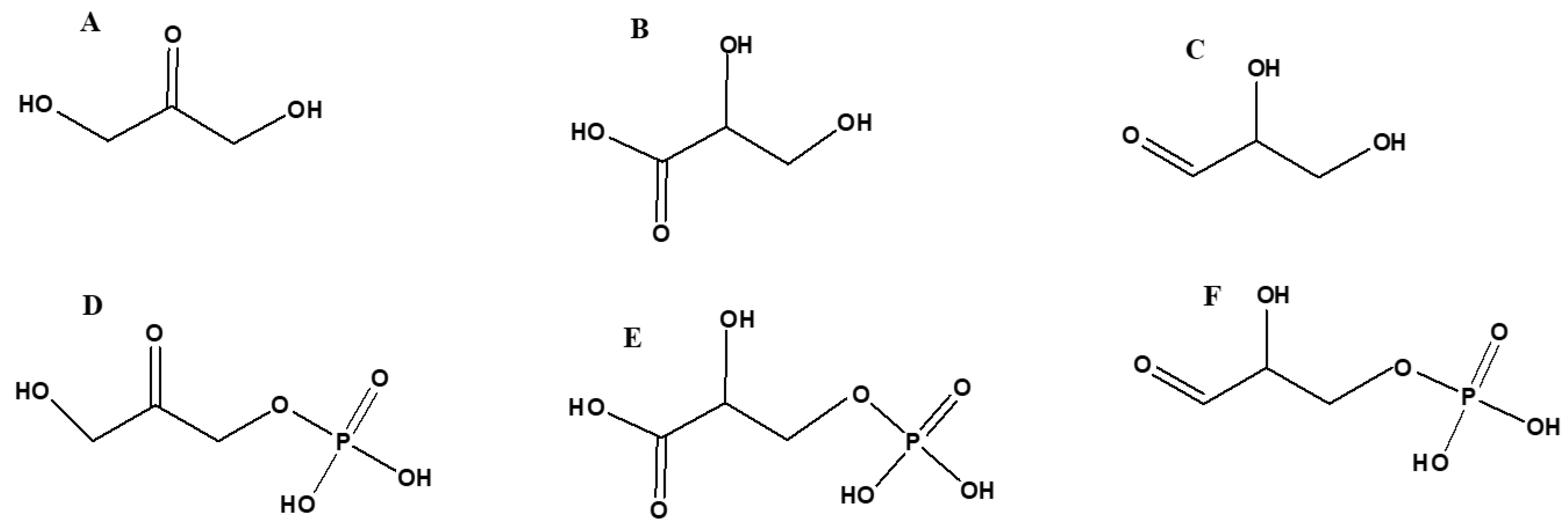 Catalysts 11 00086 g013