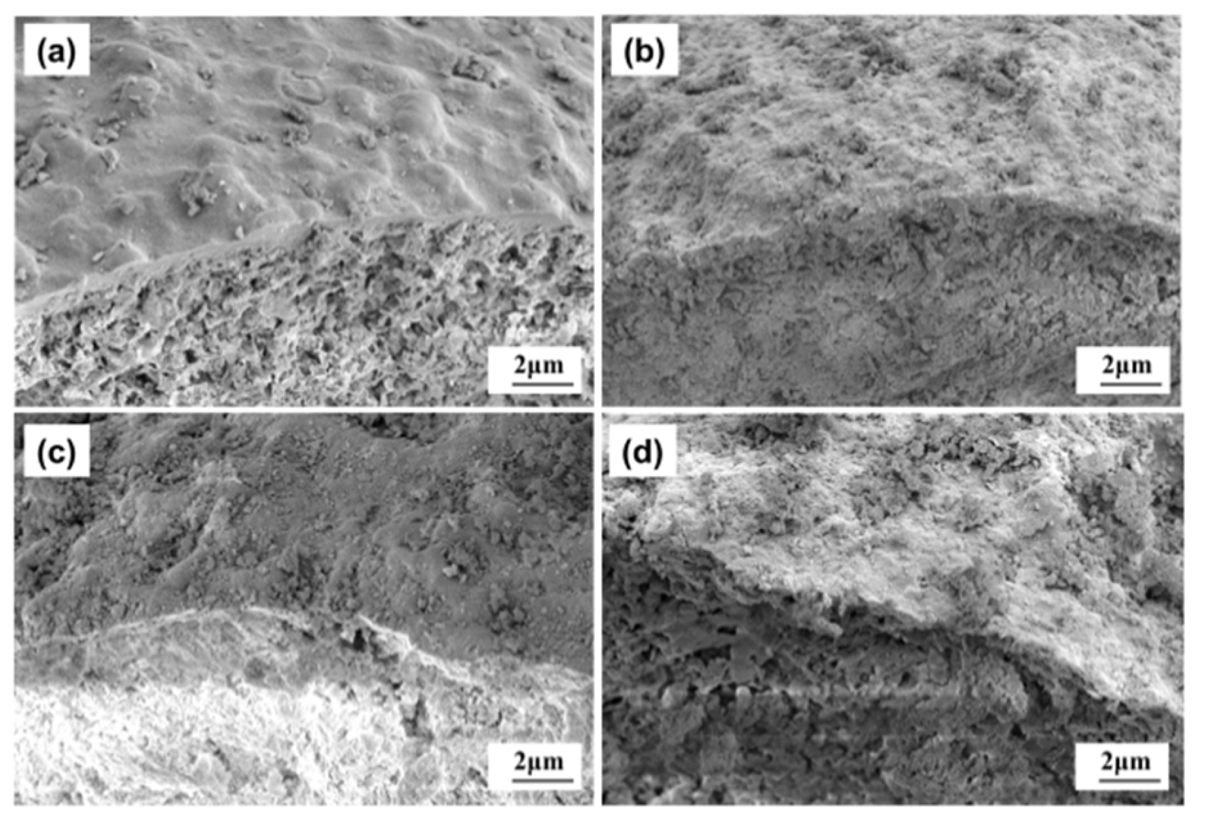 Catalysts 11 00104 g002 Catalysts 11 00104 g002