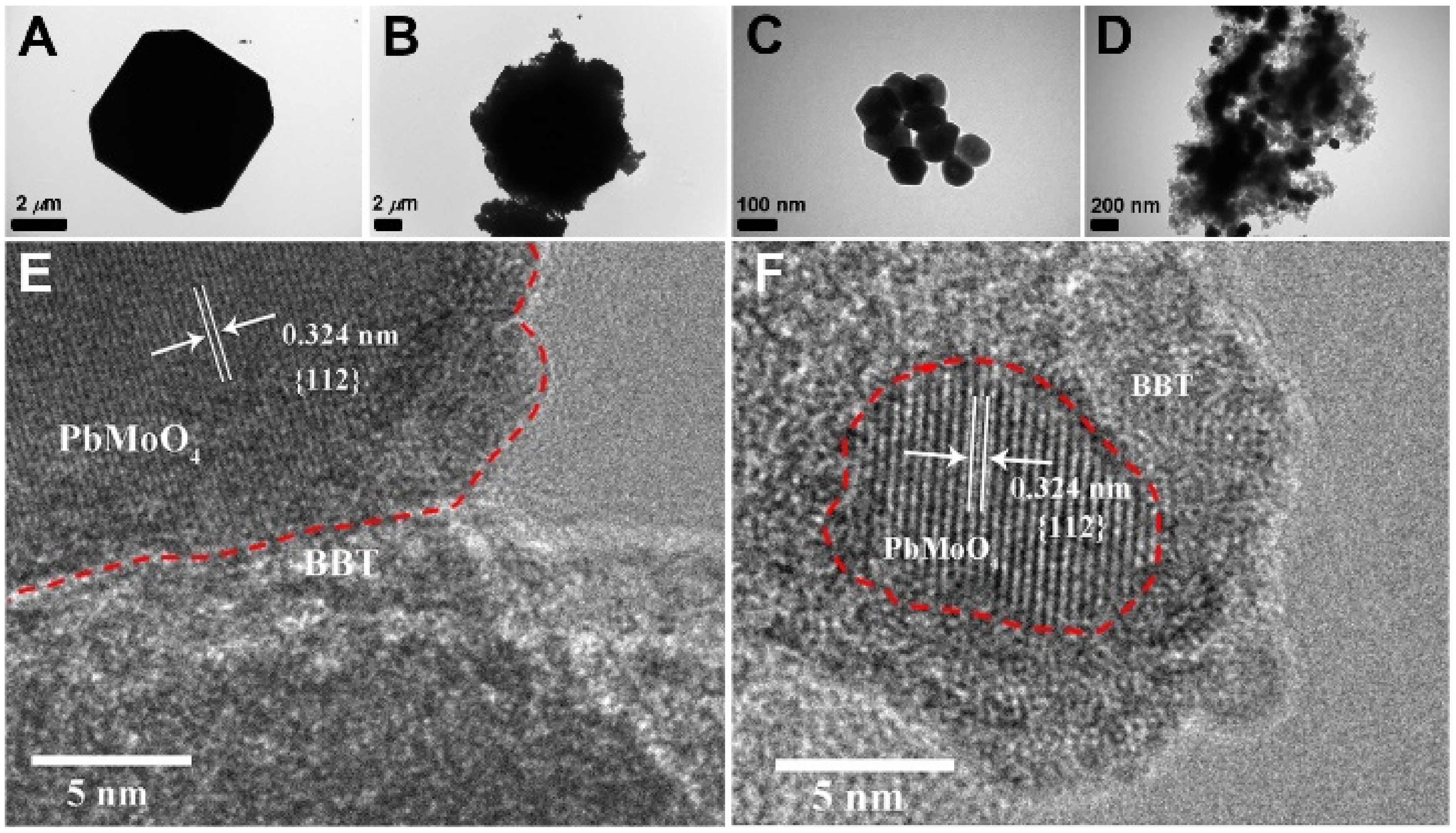 Catalysts 11 00106 g005 Catalysts 11 00106 g005