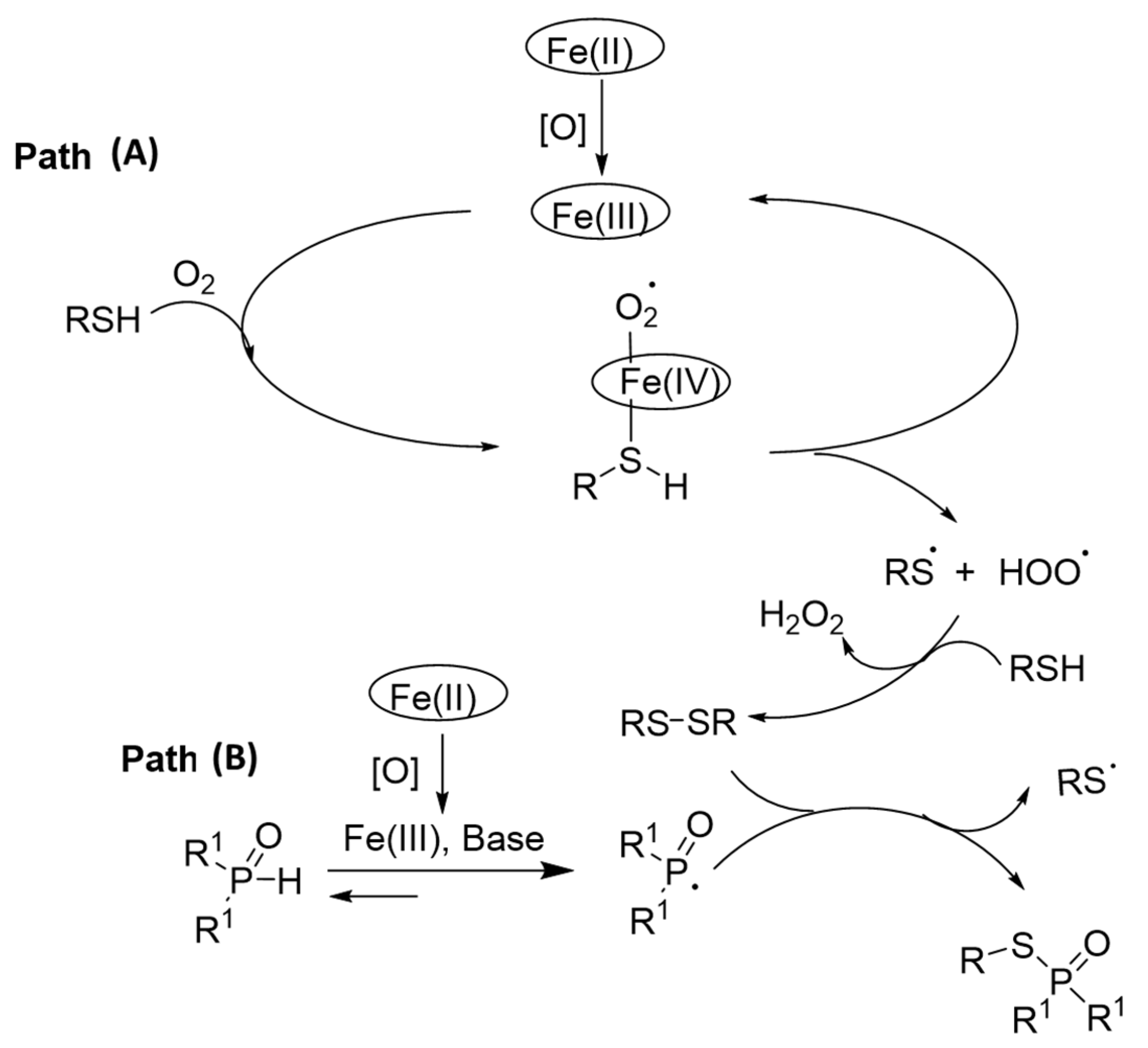 Catalysts 11 00122 g016 Catalysts 11 00122 g016