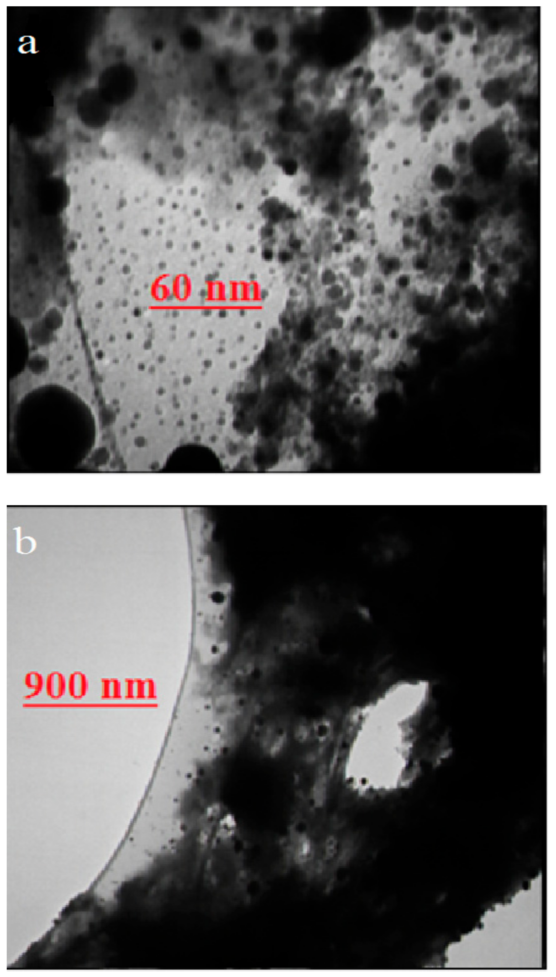 Catalysts 11 00126 g012 Catalysts 11 00126 g012