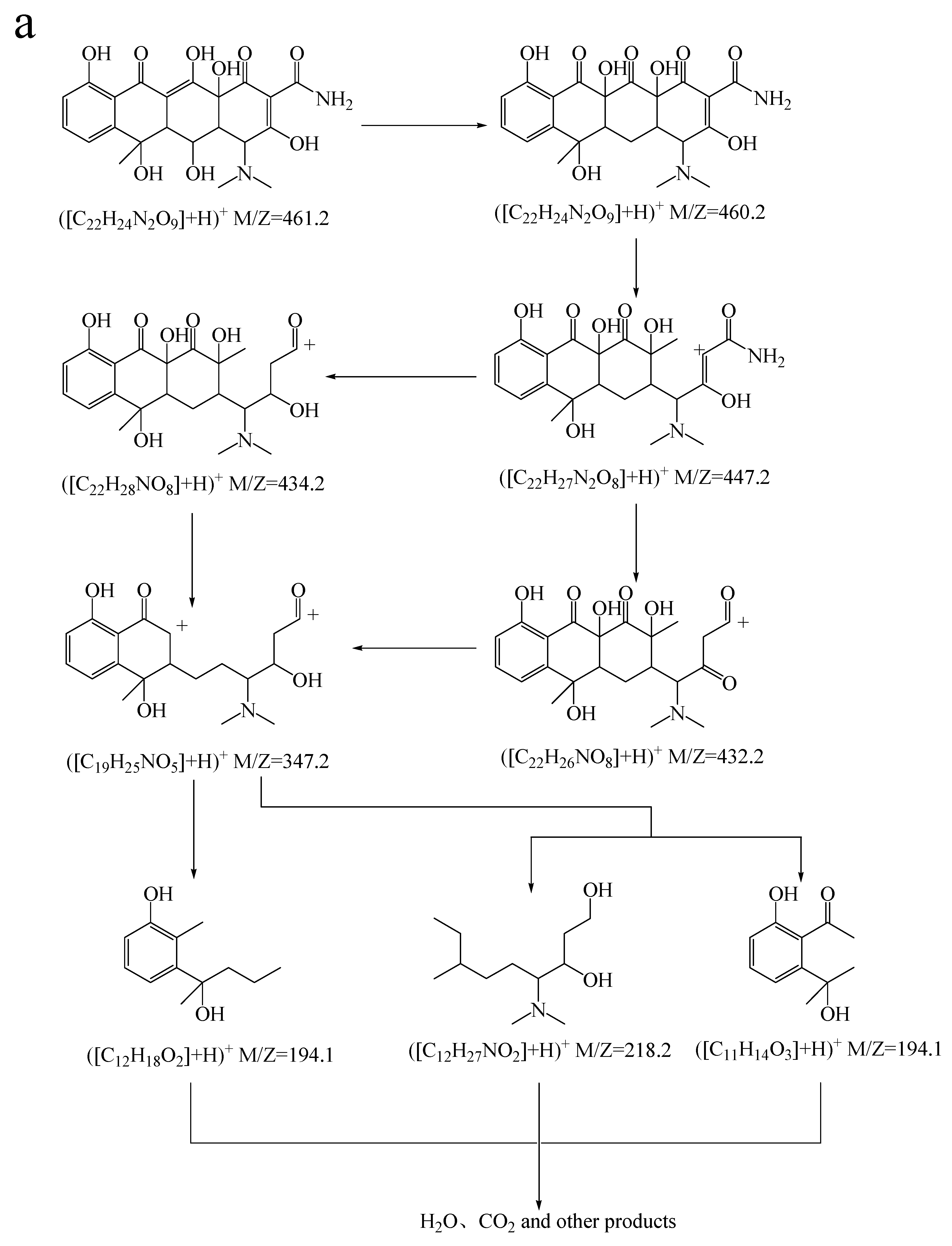 Catalysts 11 00135 g007a Catalysts 11 00135 g007a