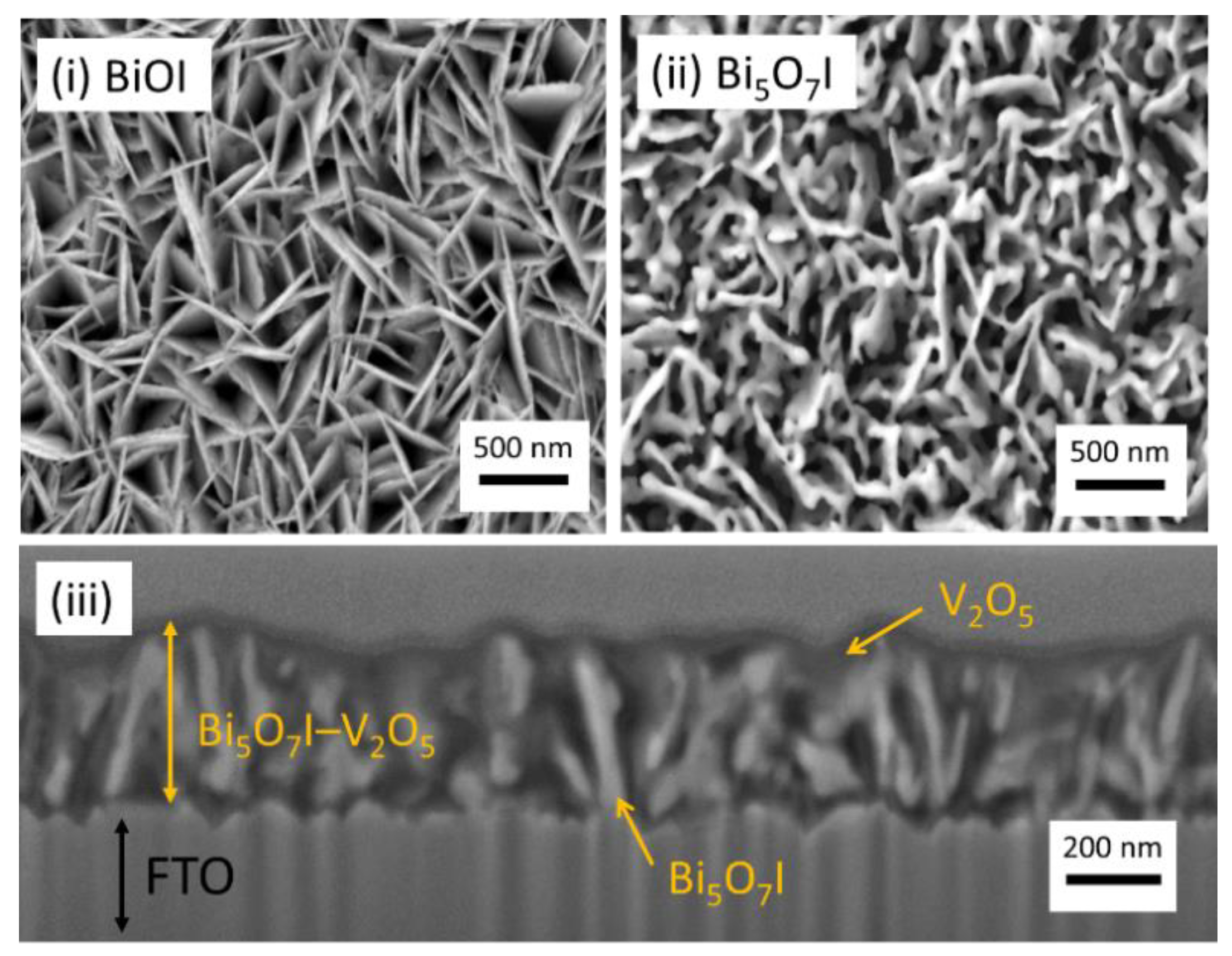 Catalysts 11 00136 g003 Catalysts 11 00136 g003