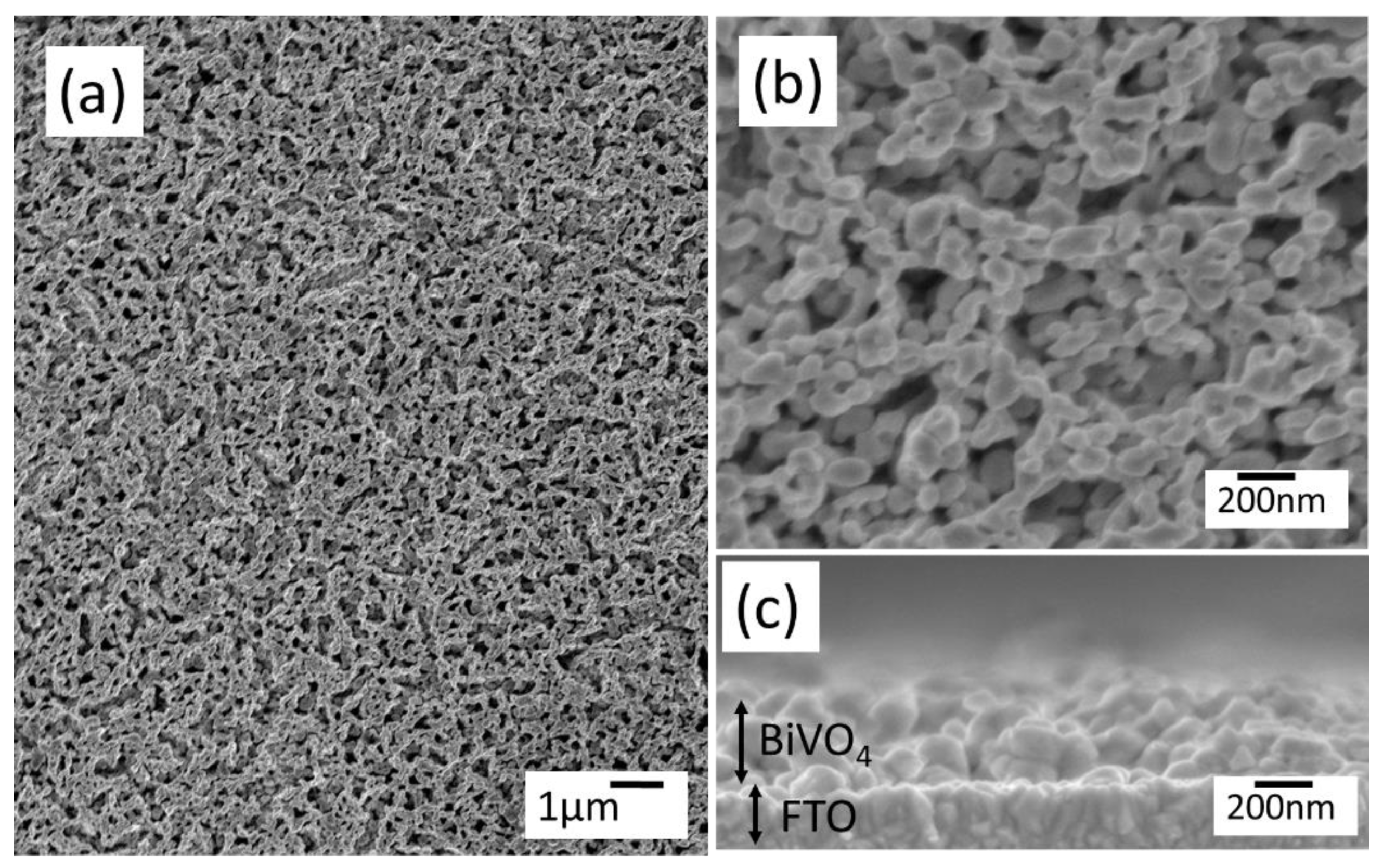 Catalysts 11 00136 g005 Catalysts 11 00136 g005