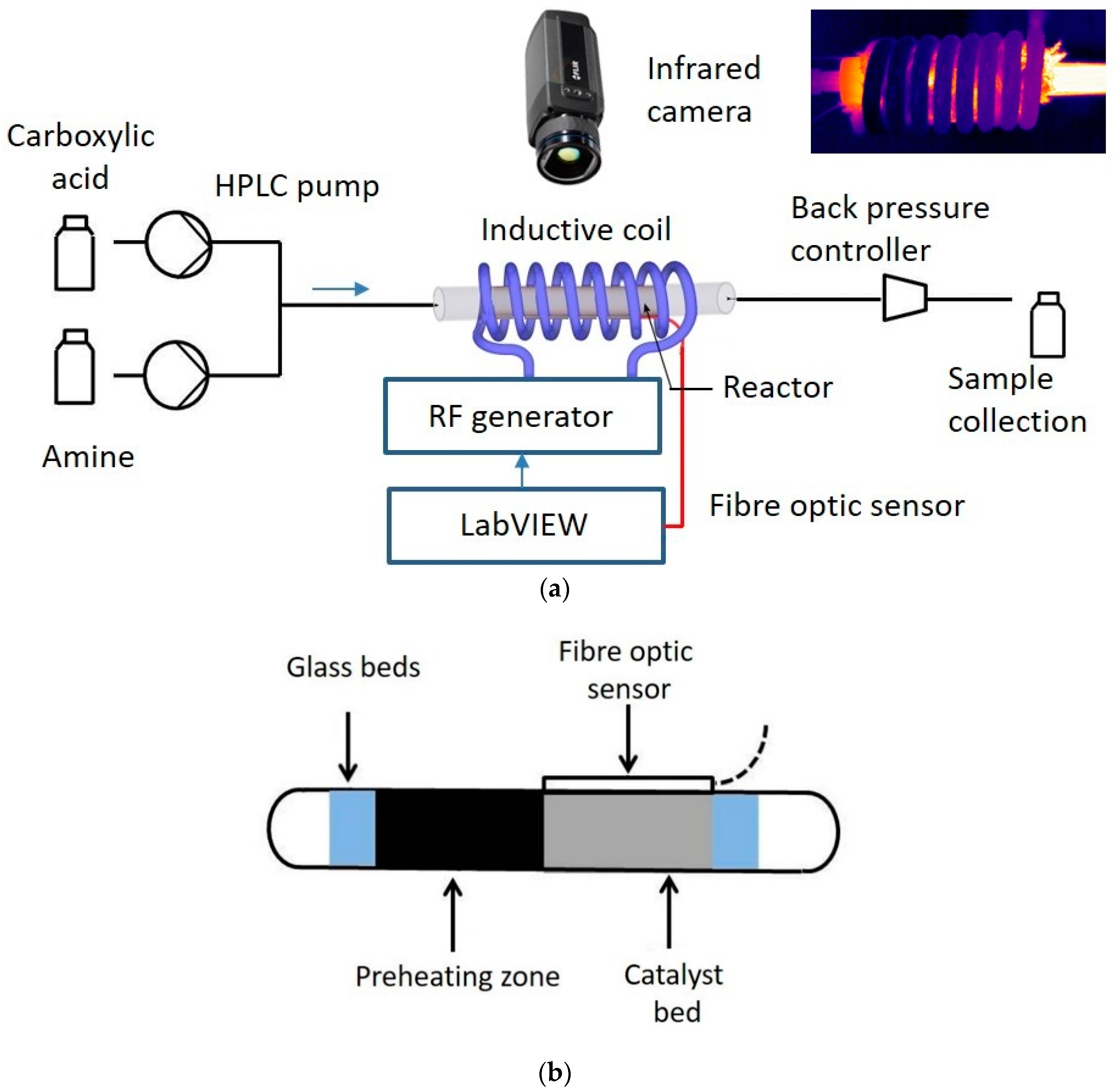 Catalysts 11 00146 g007