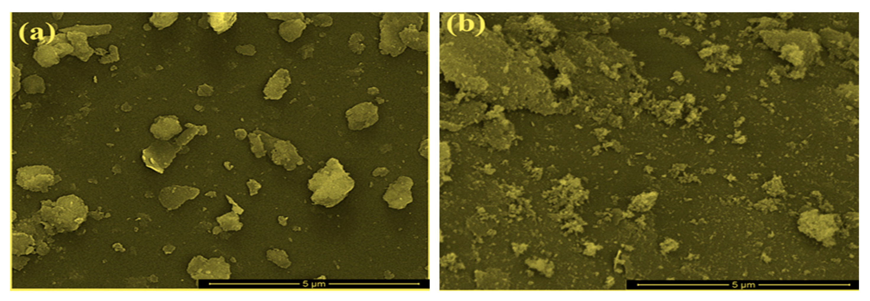 Catalysts 11 00177 g002a
