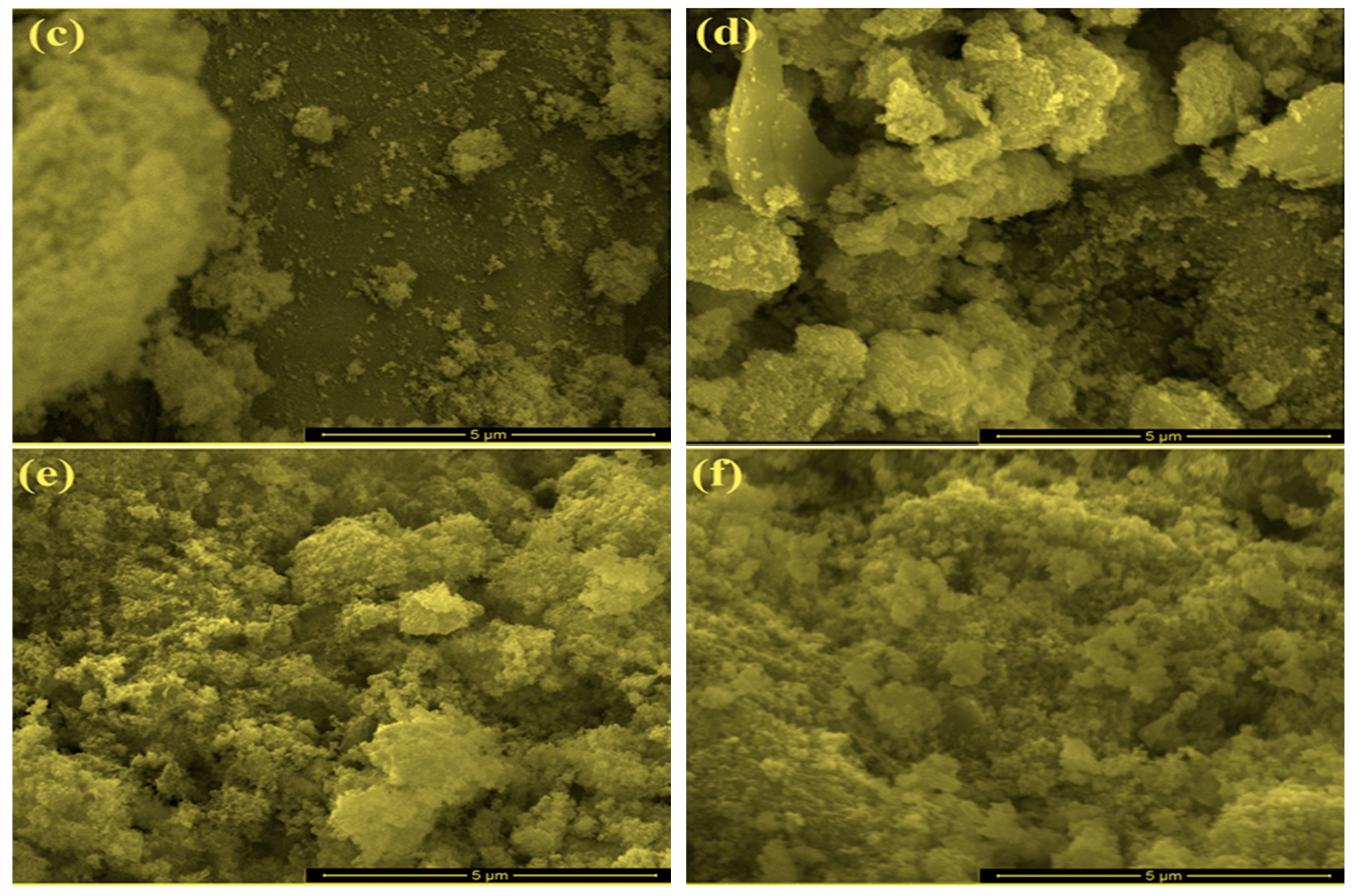 Catalysts 11 00177 g002b