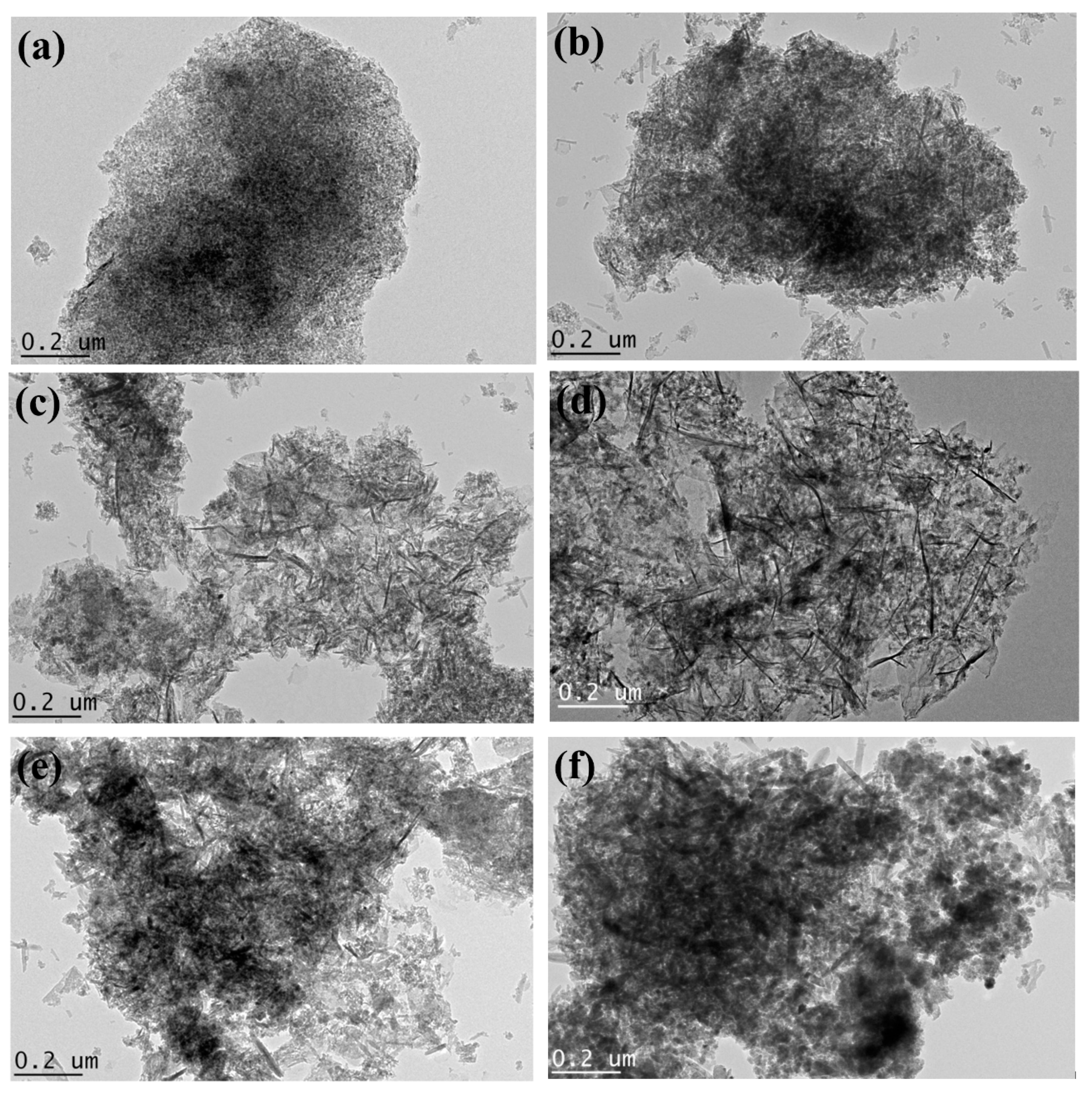 Catalysts 11 00177 g003