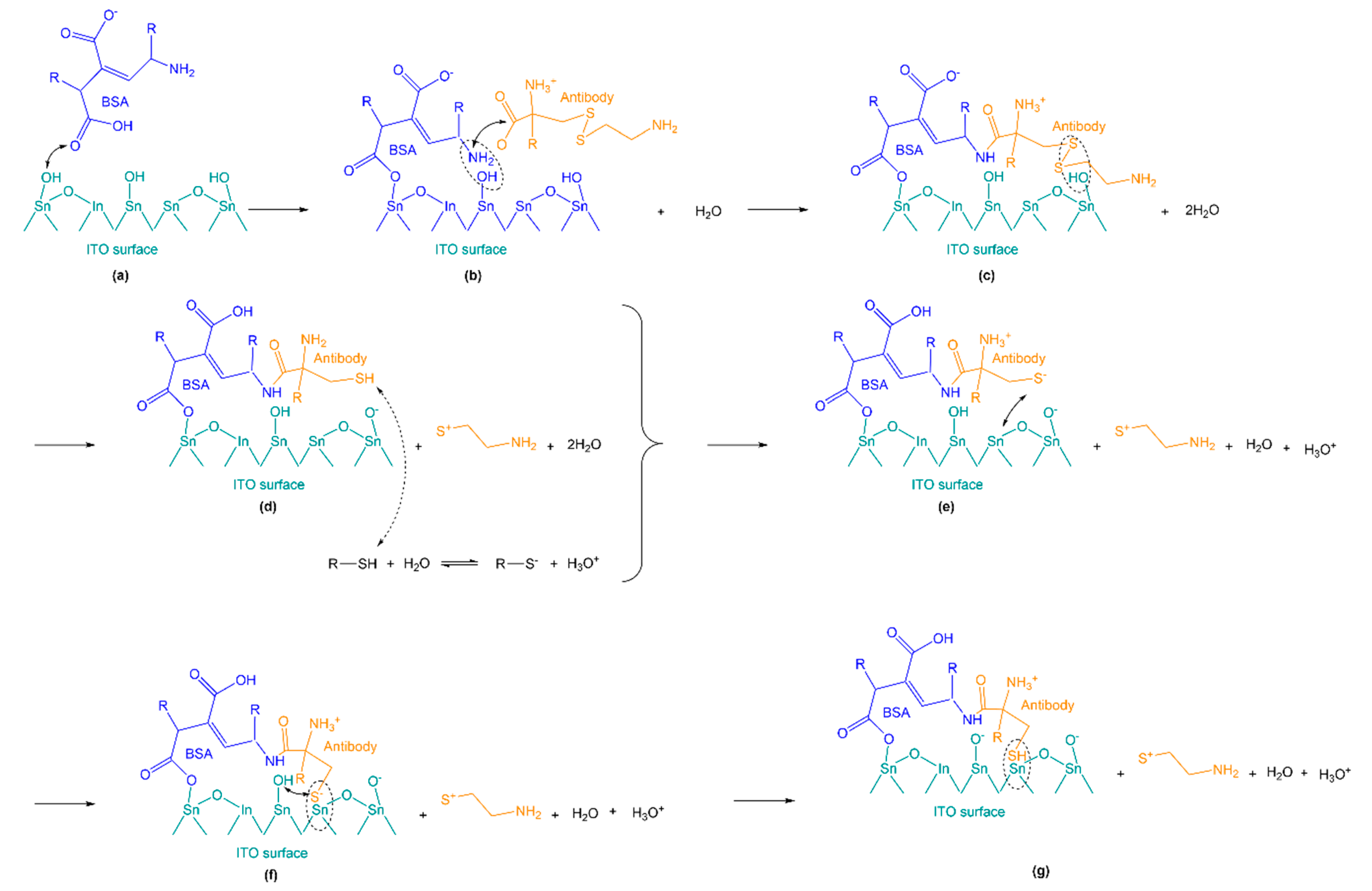 Catalysts 11 00191 g007