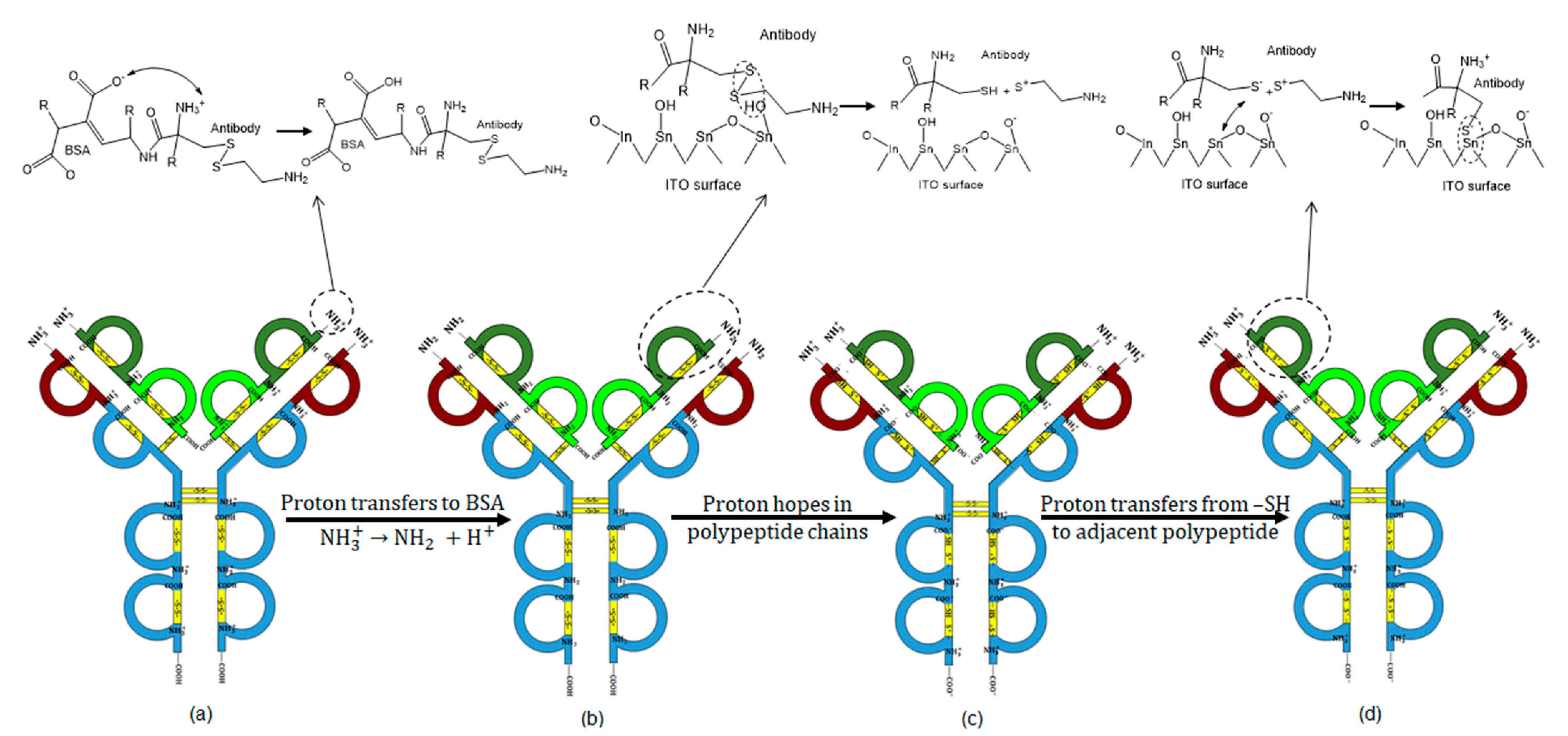 Catalysts 11 00191 g008