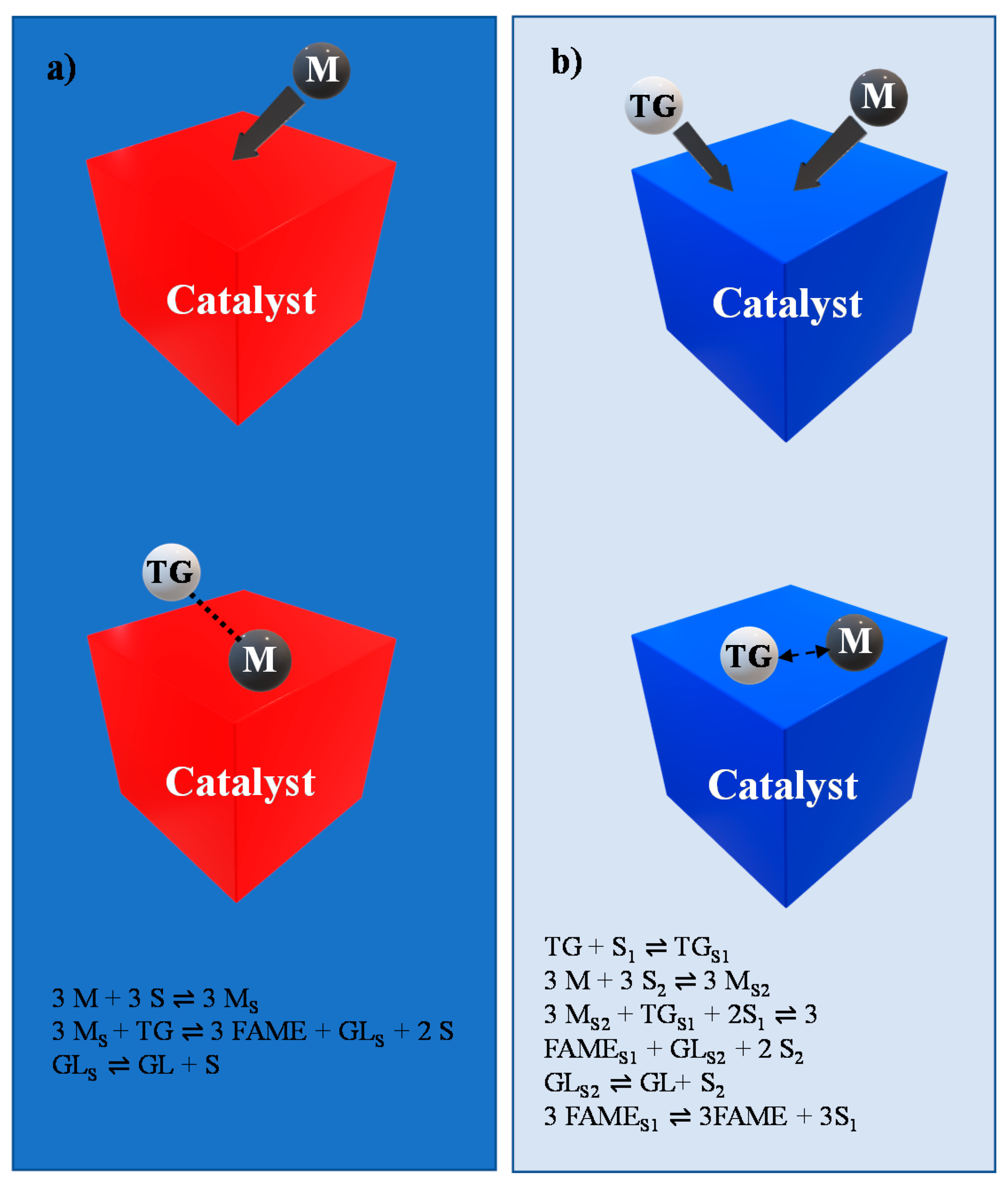 Catalysts 11 00194 g003